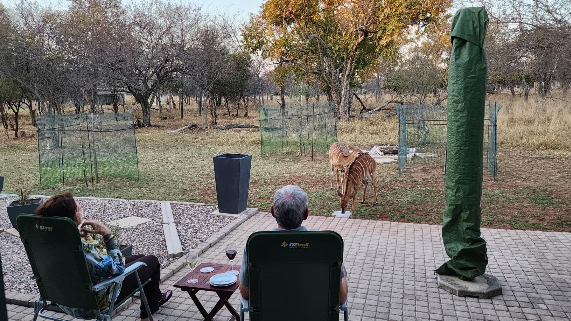 754579_Nyalas.jpg