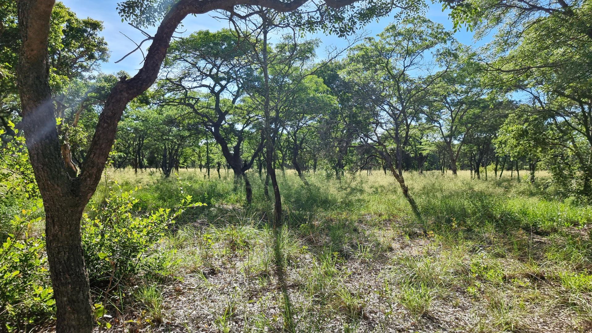 703937_64.jpg