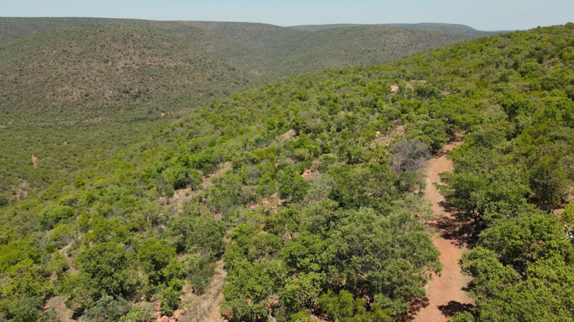 706698_923ha_Shareblock_Farm_for_Sale_Vaalwater_(109).jpg