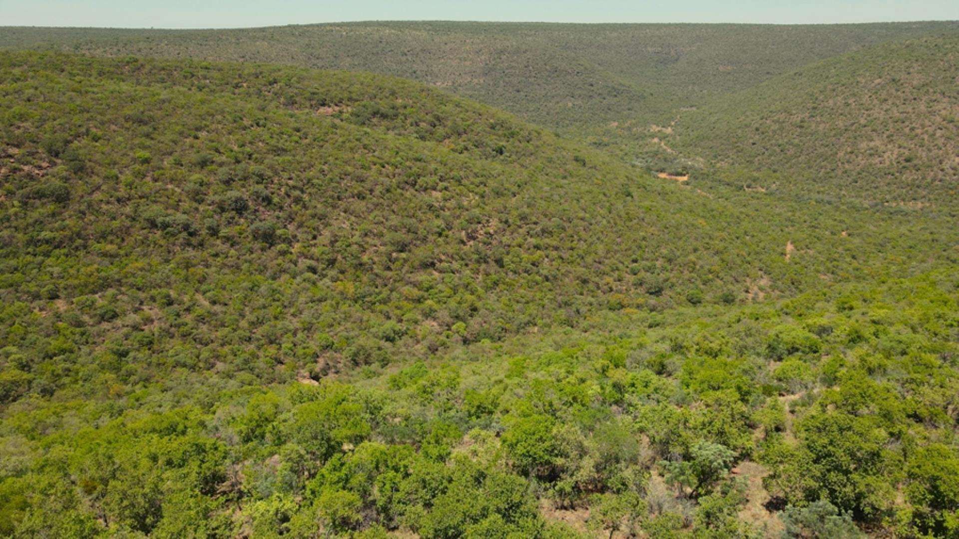 706698_923ha_Shareblock_Farm_for_Sale_Vaalwater_(110).jpg