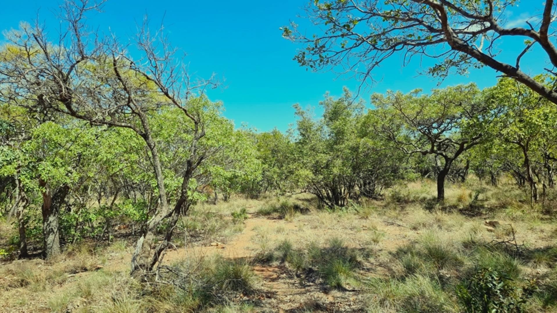 706698_923ha_Shareblock_Farm_for_Sale_Vaalwater_(68).jpg