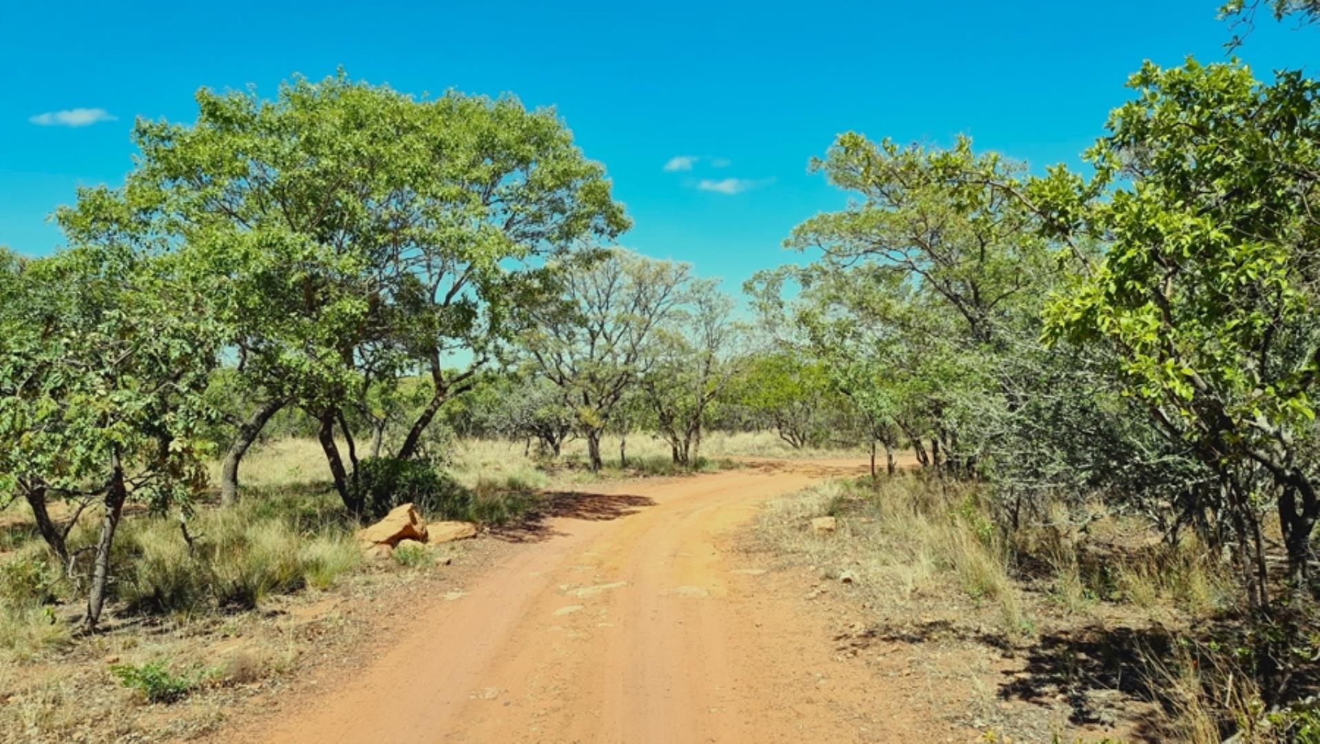 706698_923ha_Shareblock_Farm_for_Sale_Vaalwater_(70).jpg