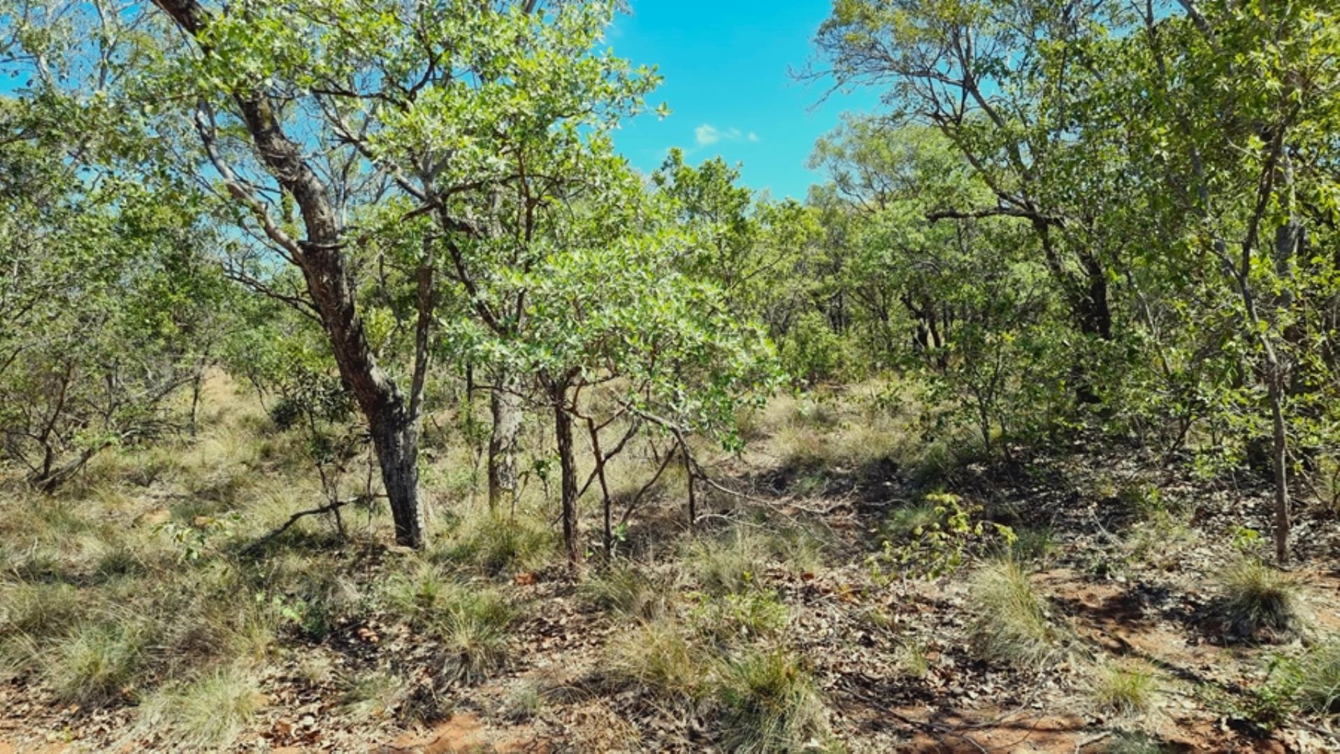706698_923ha_Shareblock_Farm_for_Sale_Vaalwater_(71).jpg