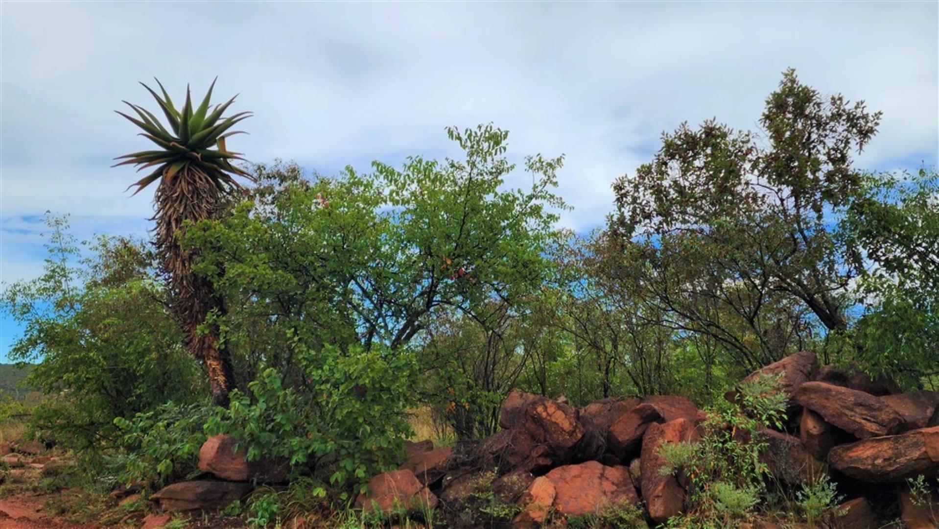 709958_1977ha_Aloe_Ridge.jpg