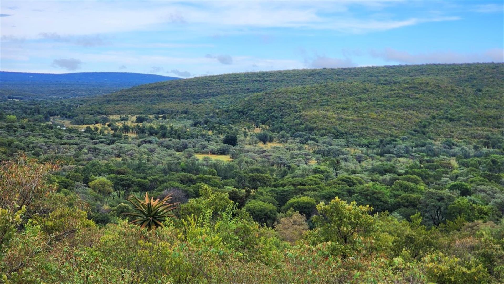 709958_1977ha_Aloe_Ridge_View.jpg