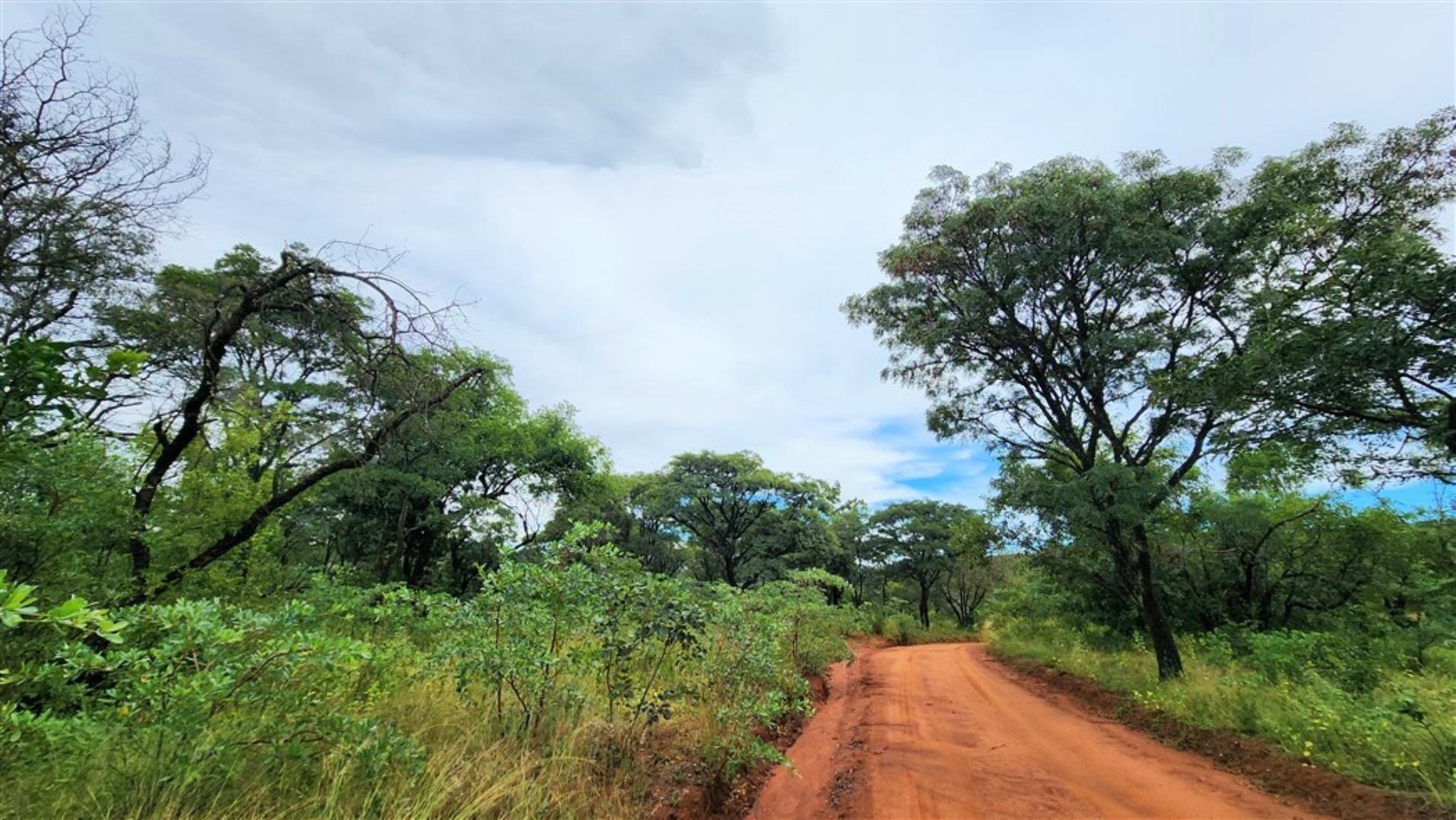 709958_1977ha_Road_1.jpg
