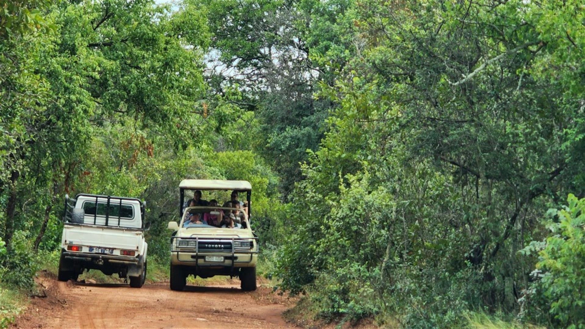 709958_Game_Drive.jpg