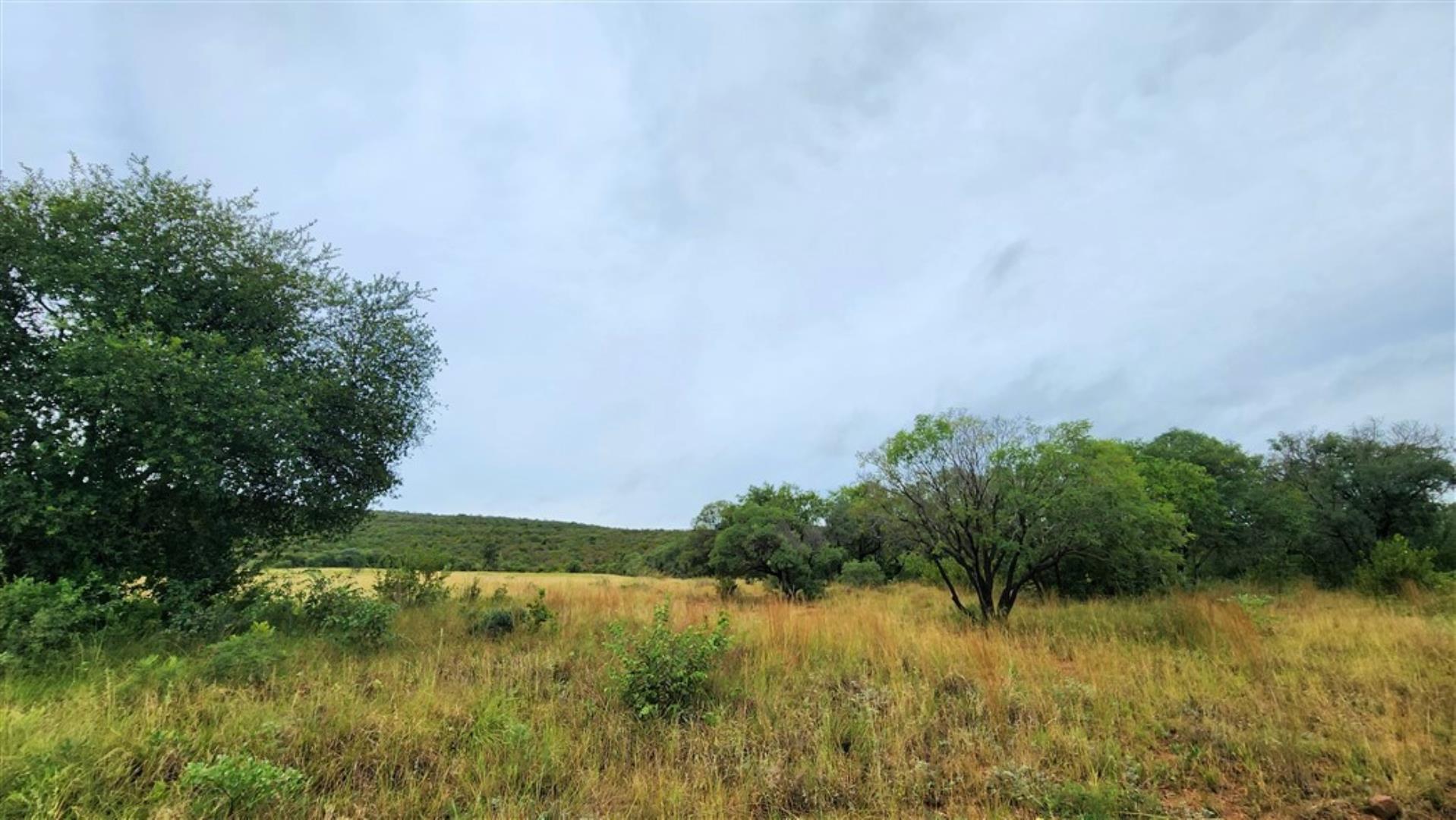 709958_Grass_Savannah_2.jpg