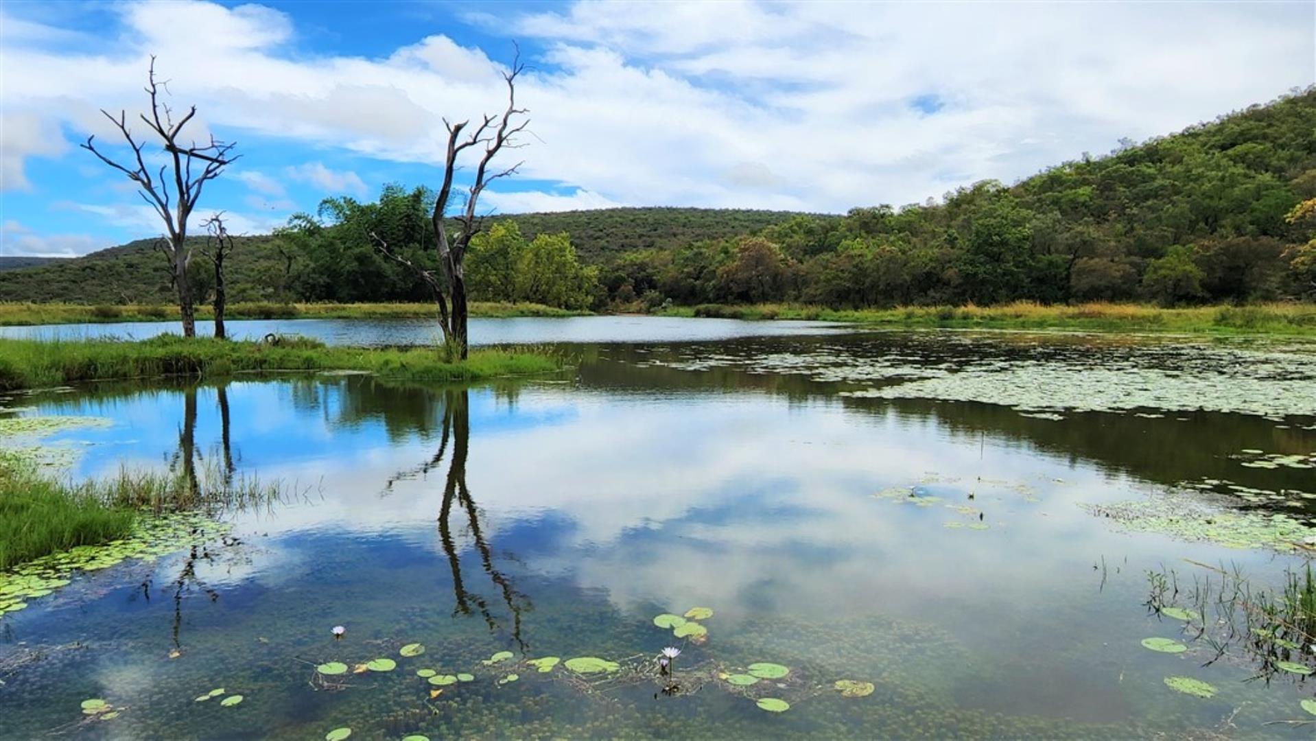 709958_Res_bottom_dams_1.jpg