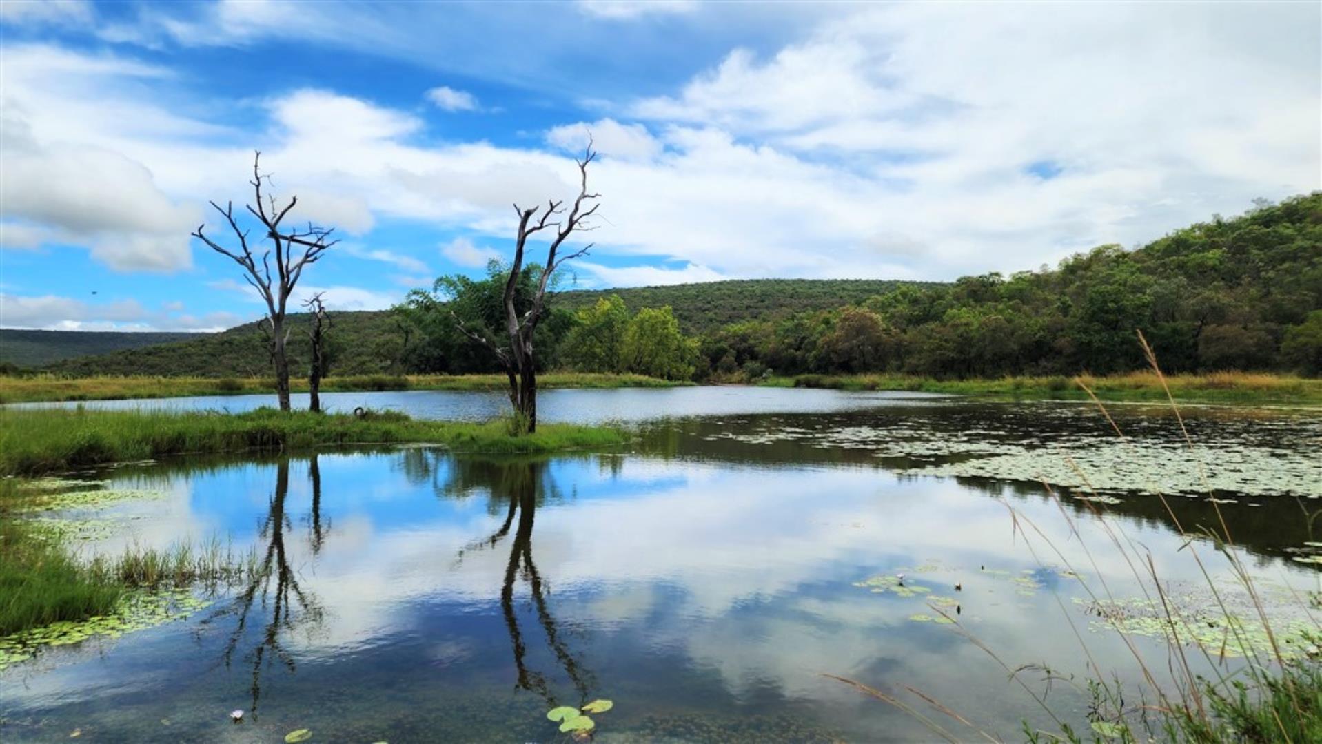 709958_Res_bottom_dams_2.jpg