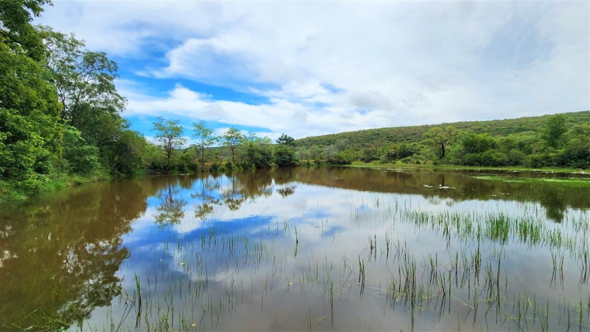 709958_Res_top_dam.jpg