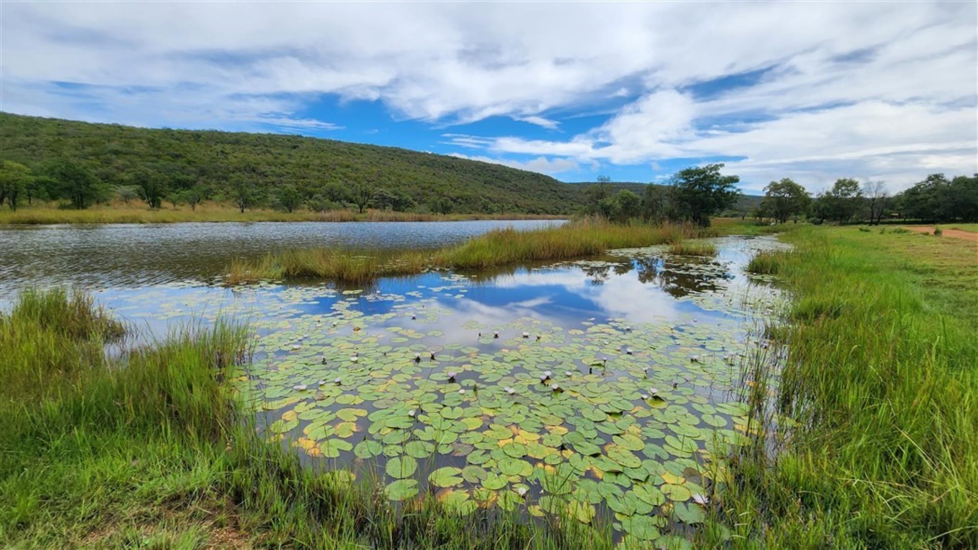 709958_River_Dam_1.jpg