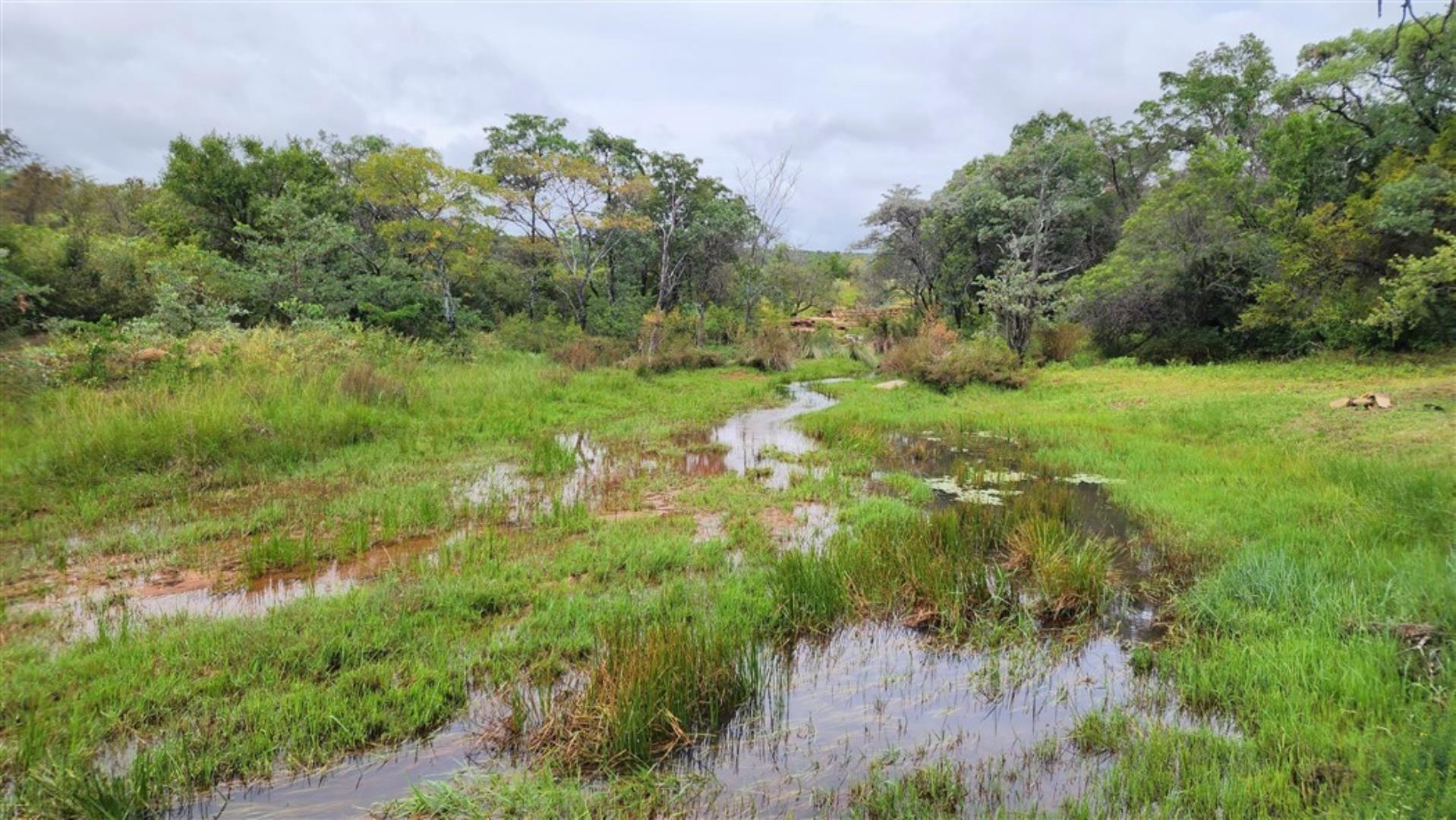 709958_River_wetland.jpg