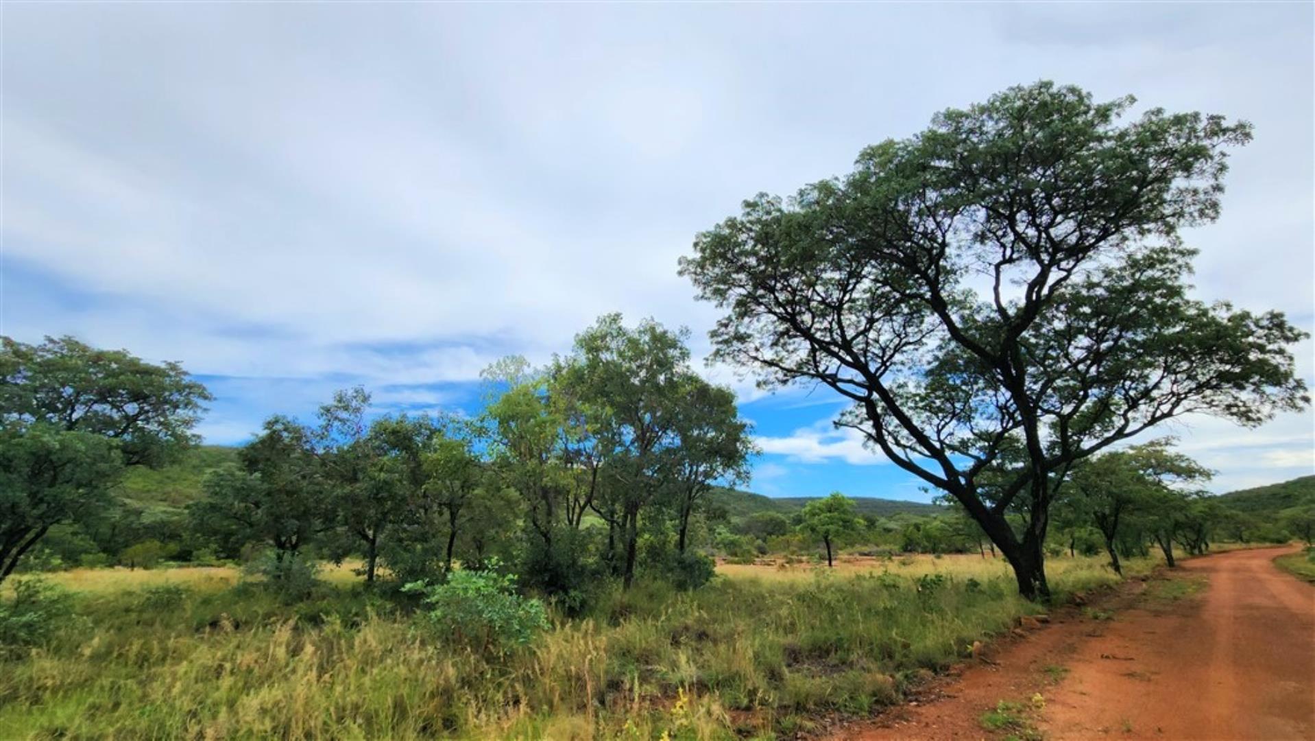 709958_Road_to_River_Lodge.jpg