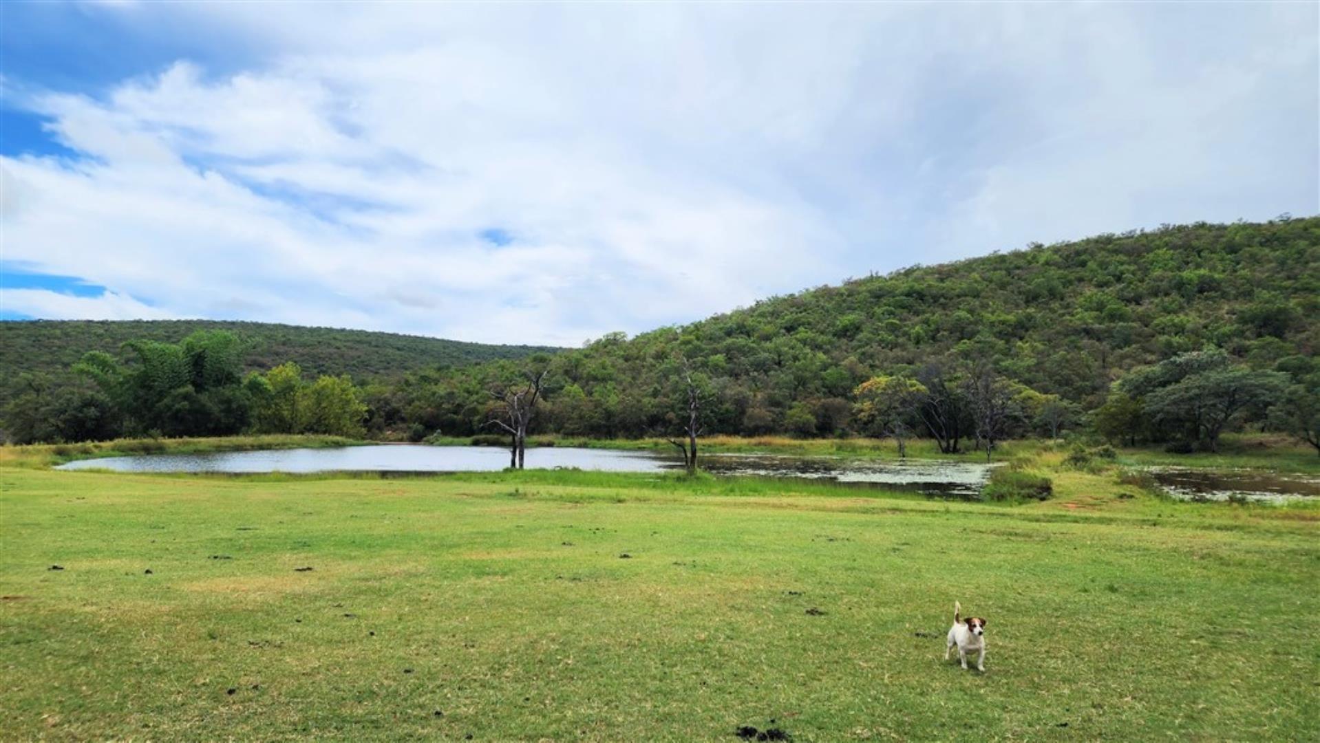 709958_Rse_bottom_dams.jpg