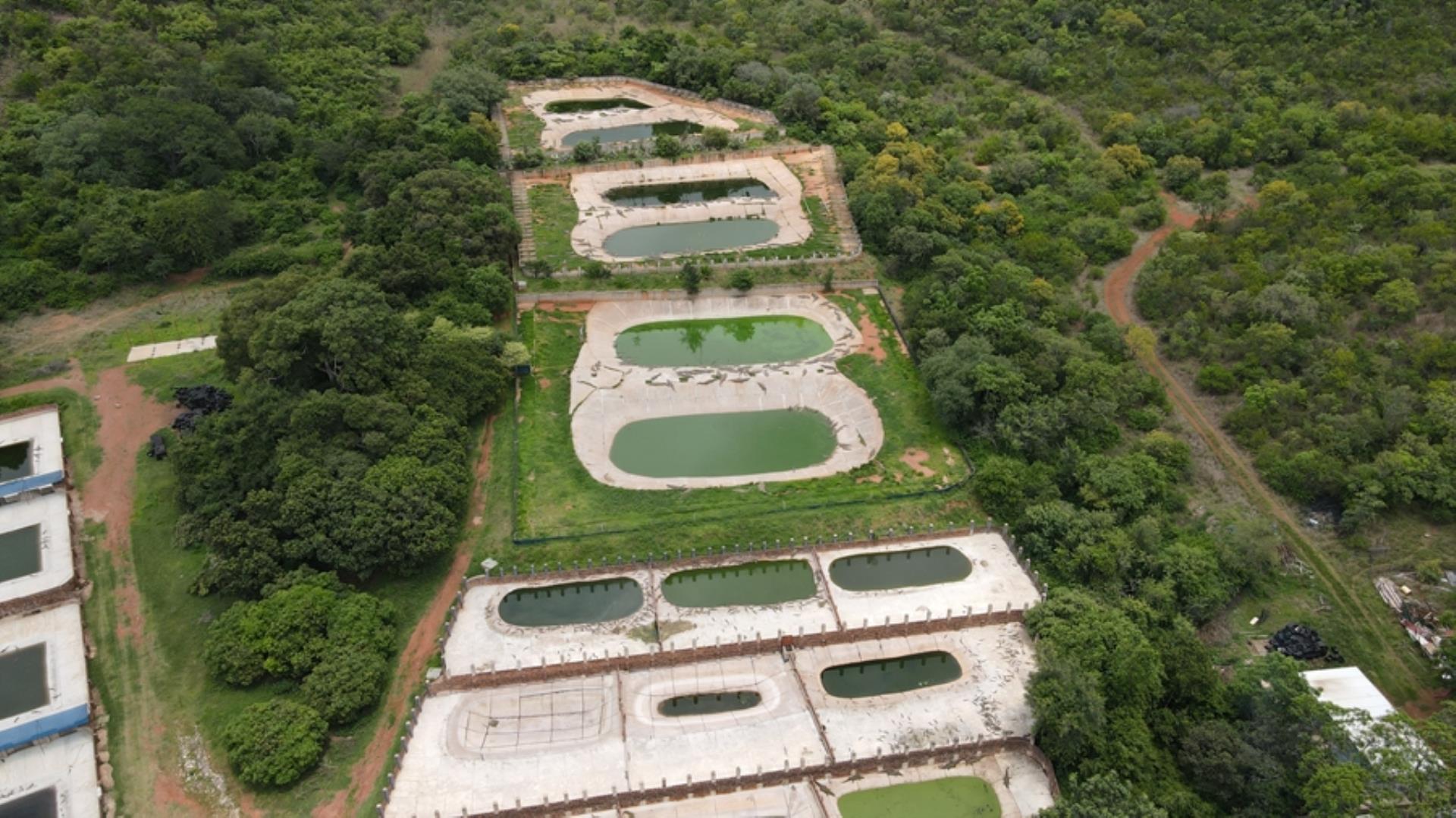 727512_DJI_0235.jpg