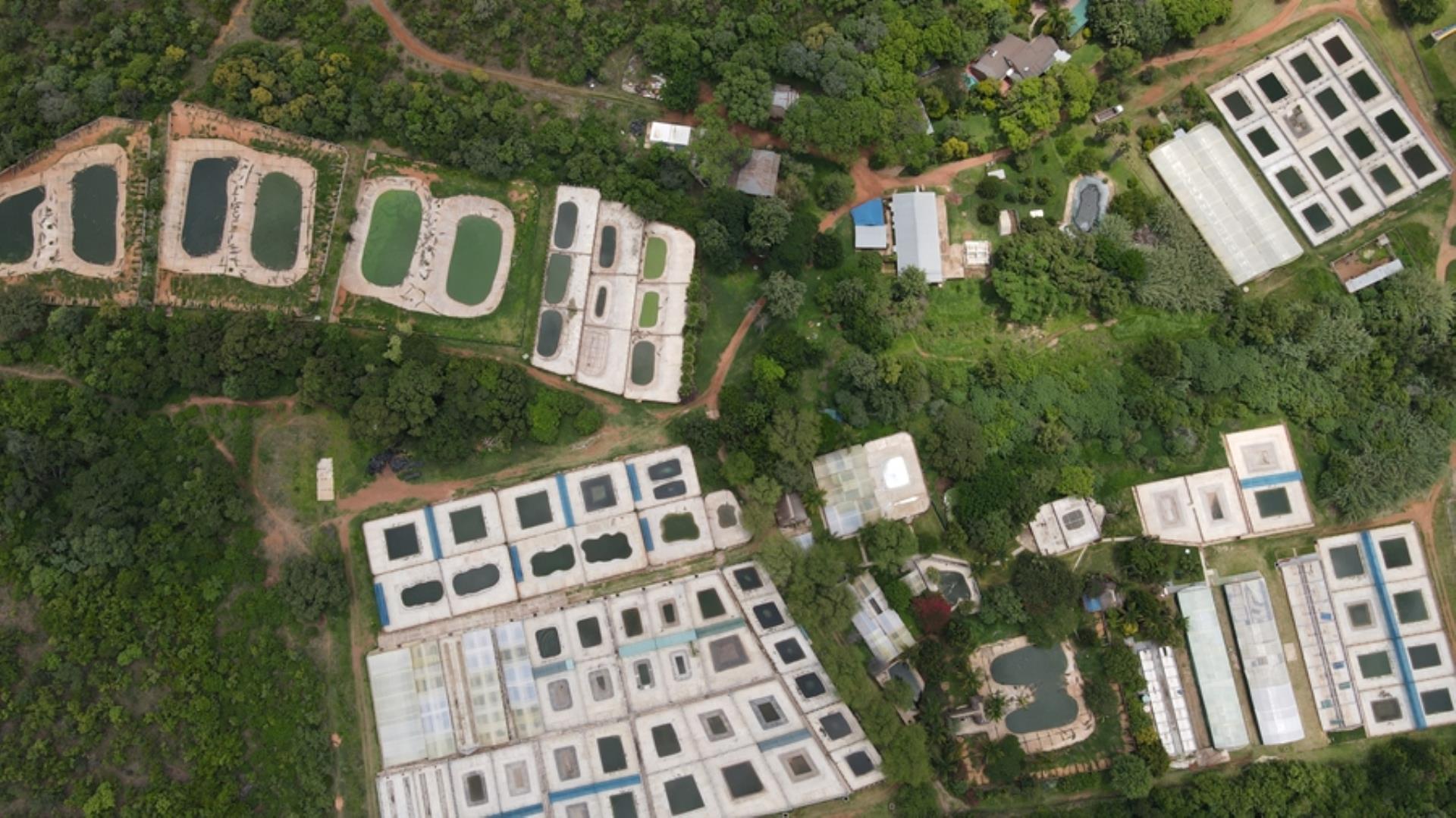 727512_DJI_0241.jpg