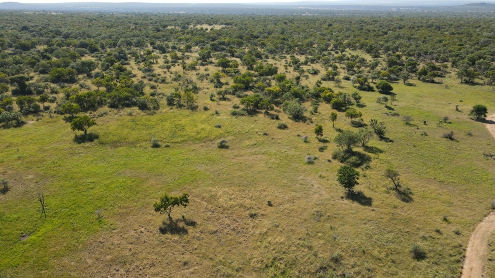 729374_800ha_Vaalwater_Family_Game_Farm_for_Sale_(10).jpg