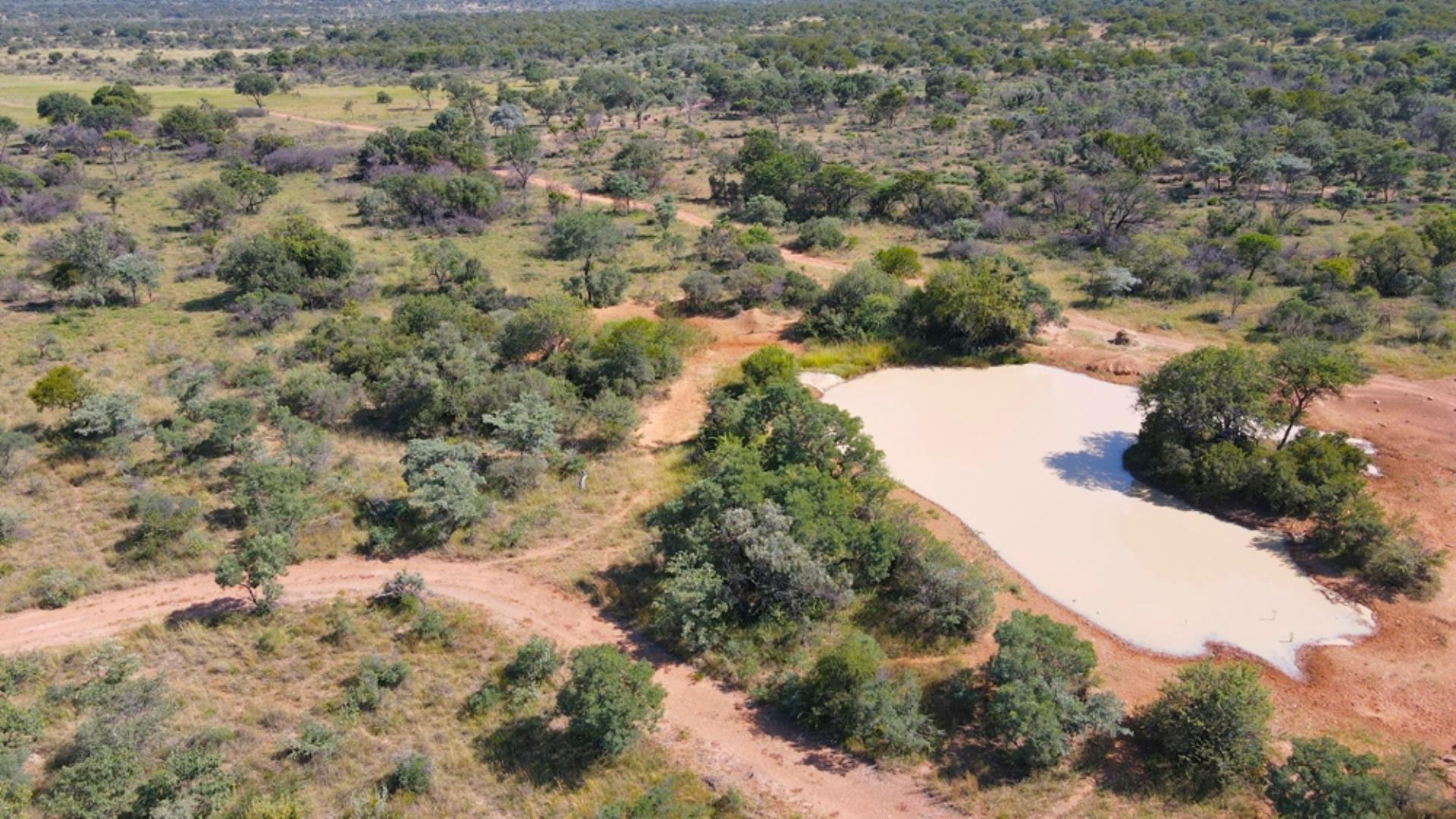 729374_800ha_Vaalwater_Family_Game_Farm_for_Sale_(13).jpg