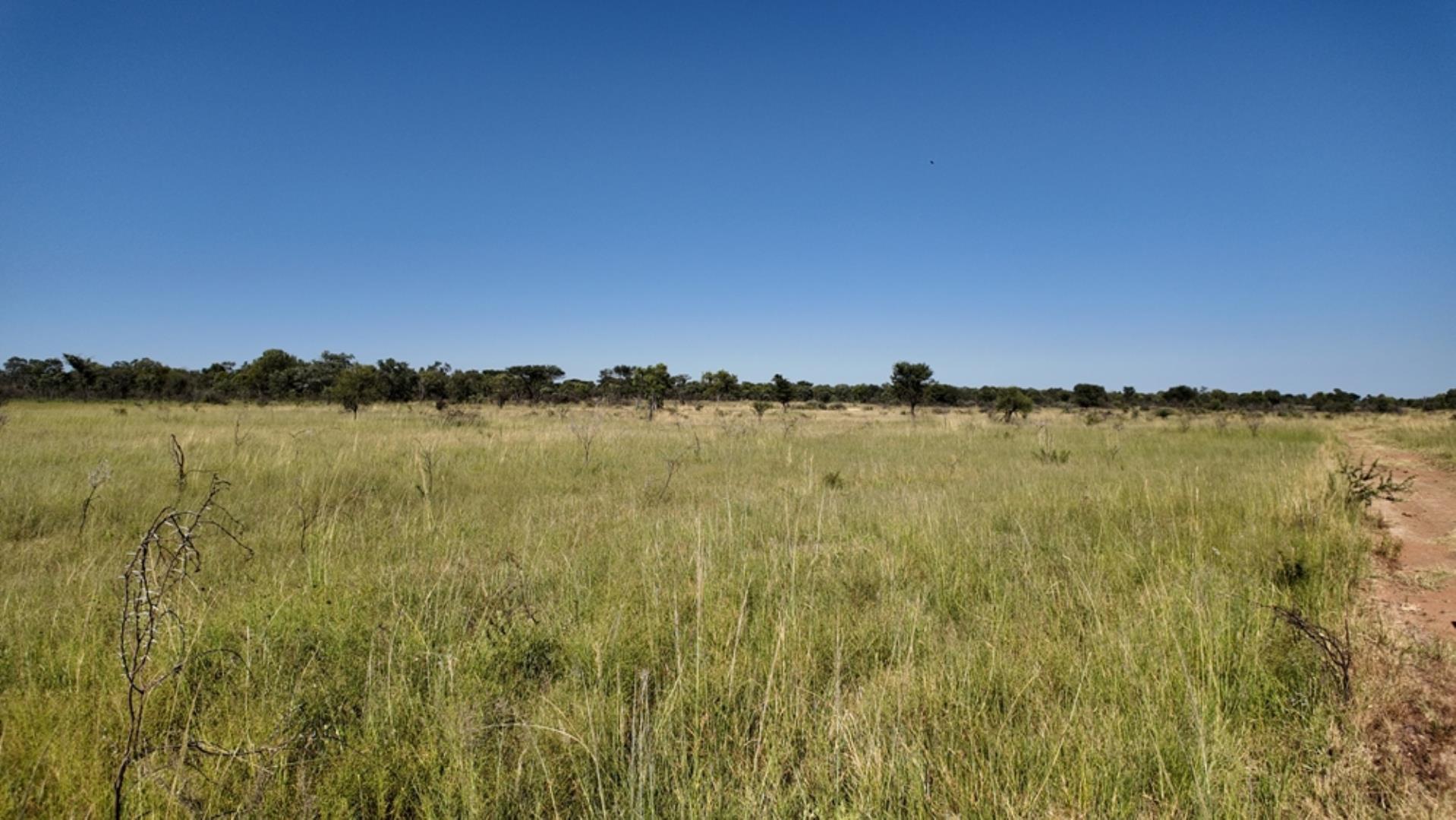 729374_800ha_Vaalwater_Family_Game_Farm_for_Sale_(32).jpg