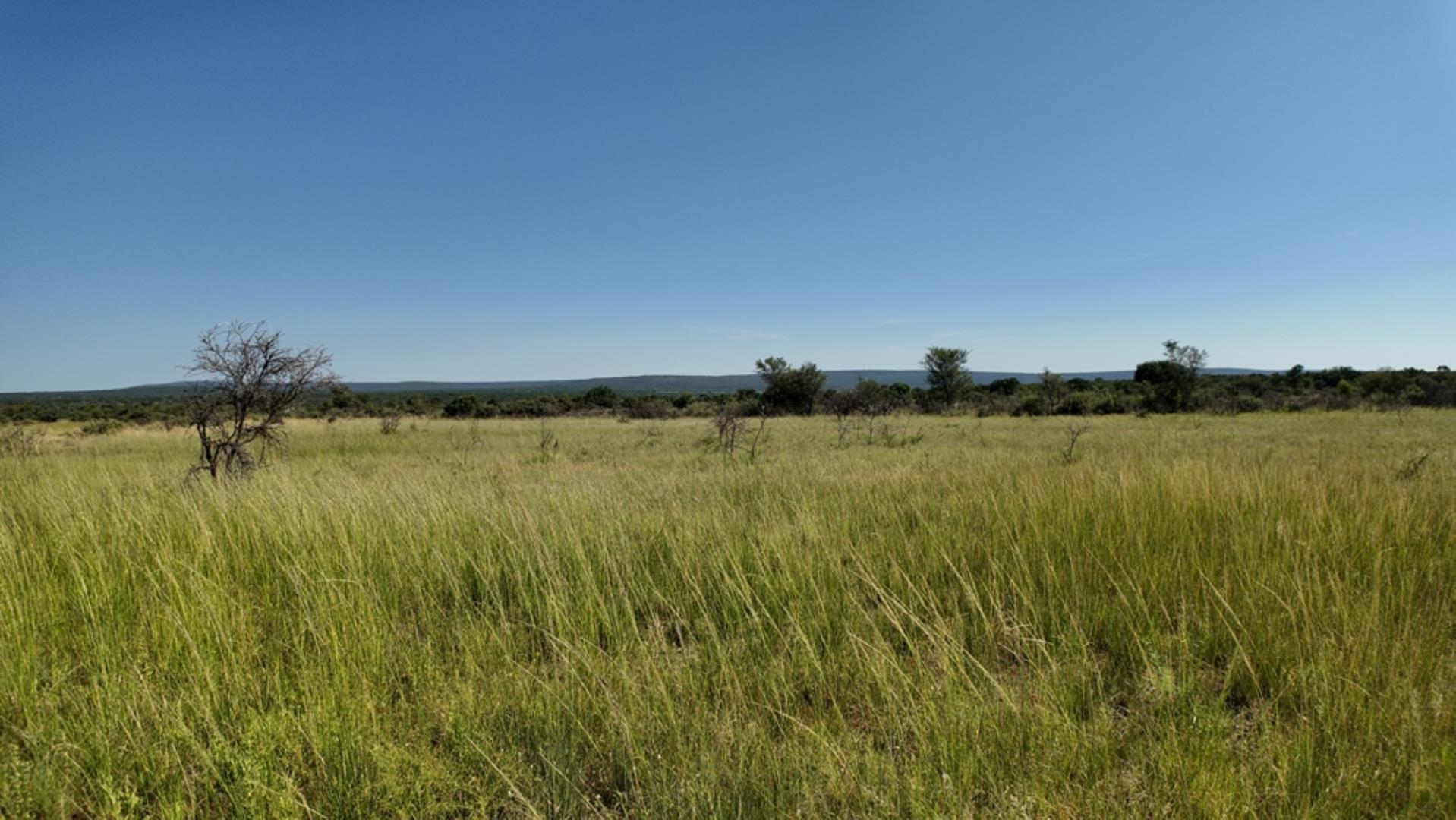 729374_800ha_Vaalwater_Family_Game_Farm_for_Sale_(33).jpg