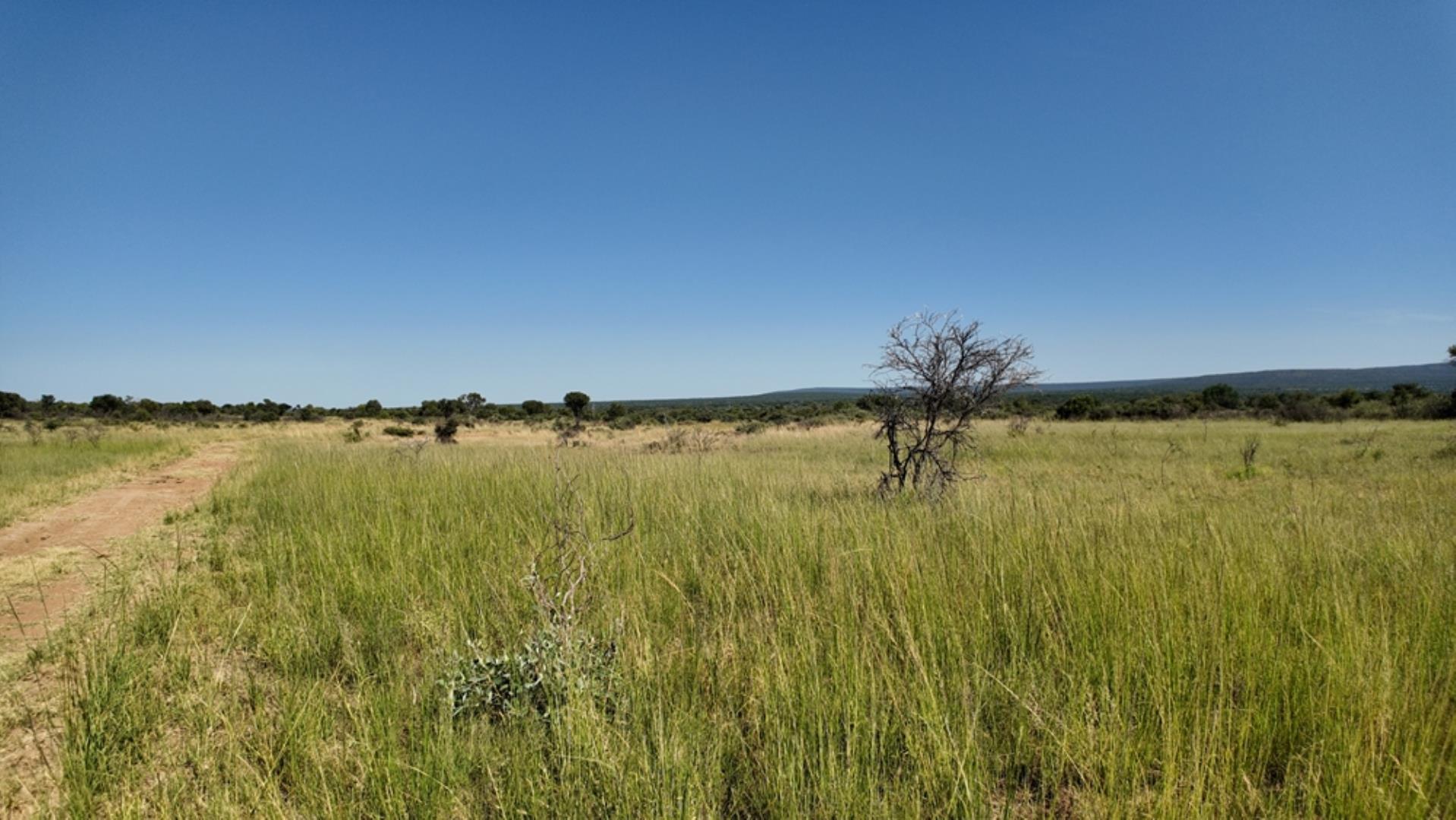 729374_800ha_Vaalwater_Family_Game_Farm_for_Sale_(34).jpg