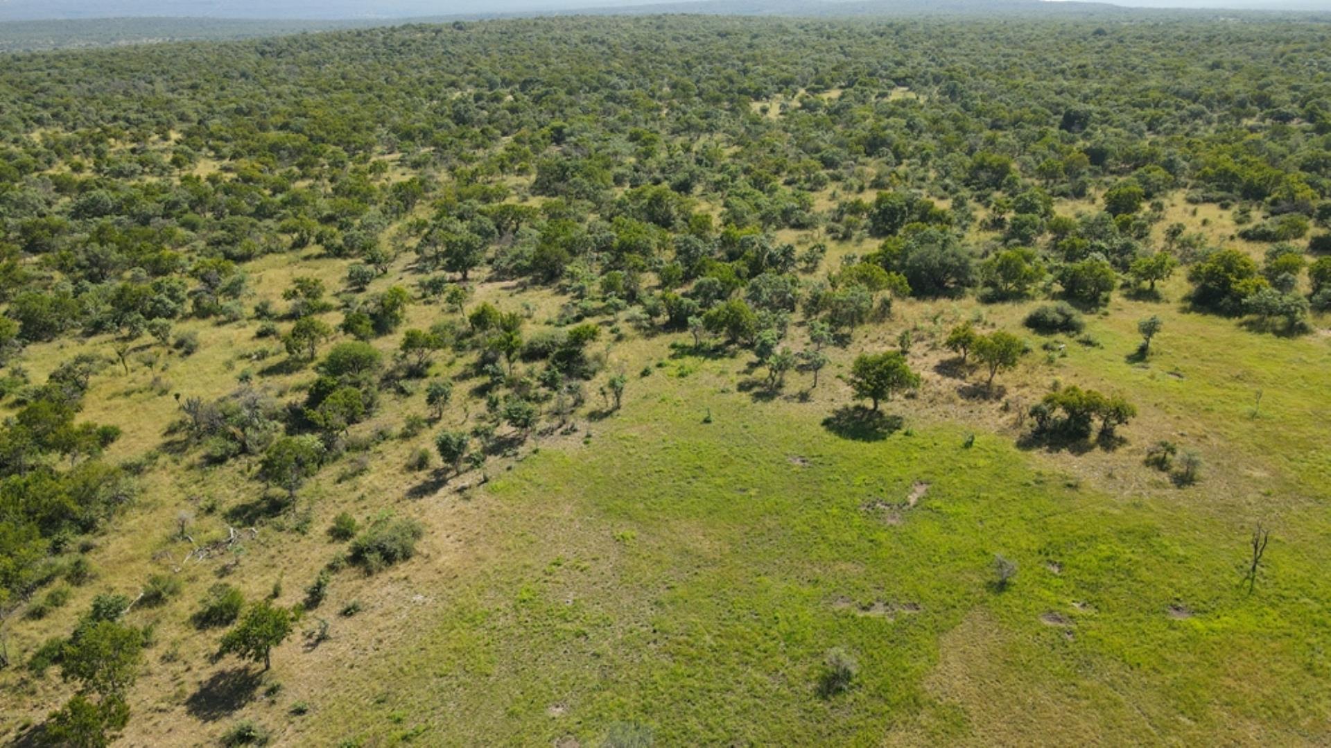 729374_800ha_Vaalwater_Family_Game_Farm_for_Sale_(9).jpg