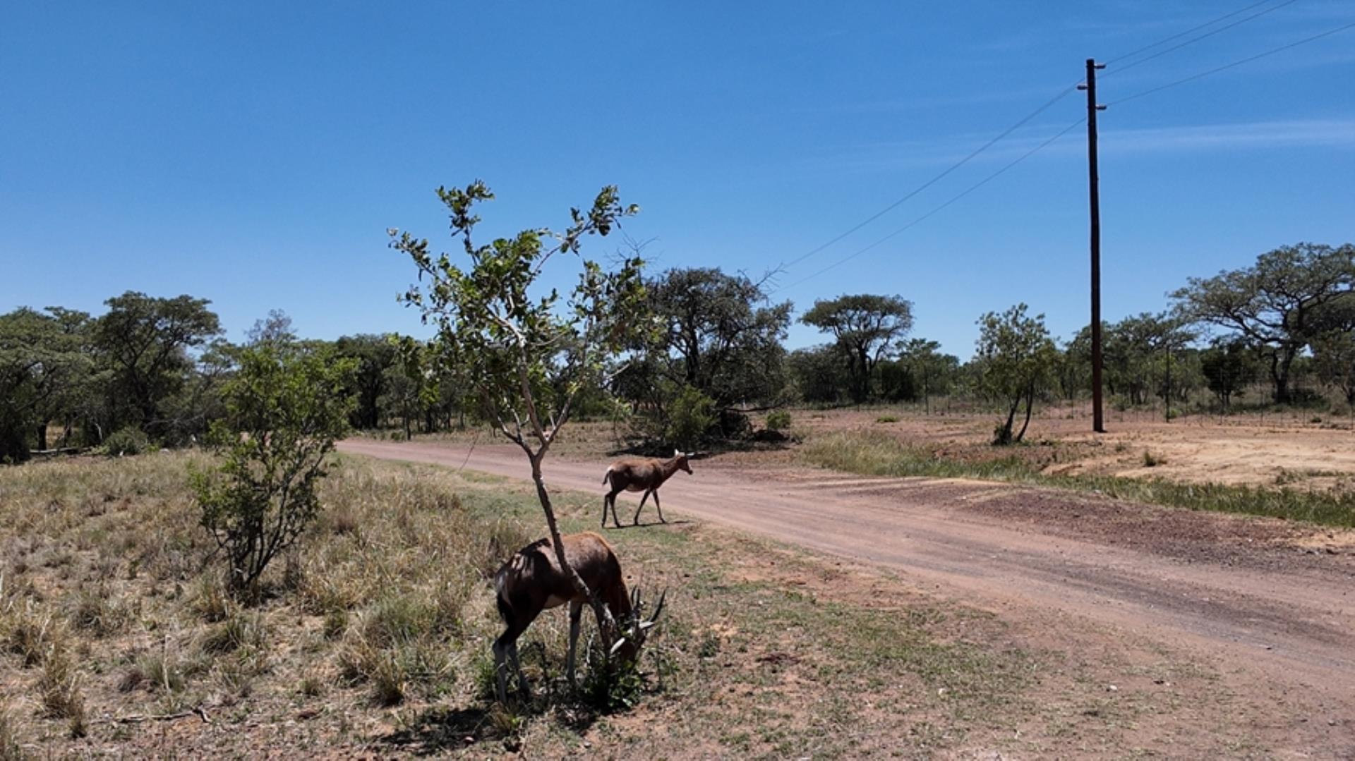 730851_1.56ha_Stand_Leopard_Rock_Game_Farm_FOR_SALE_(16).jpeg