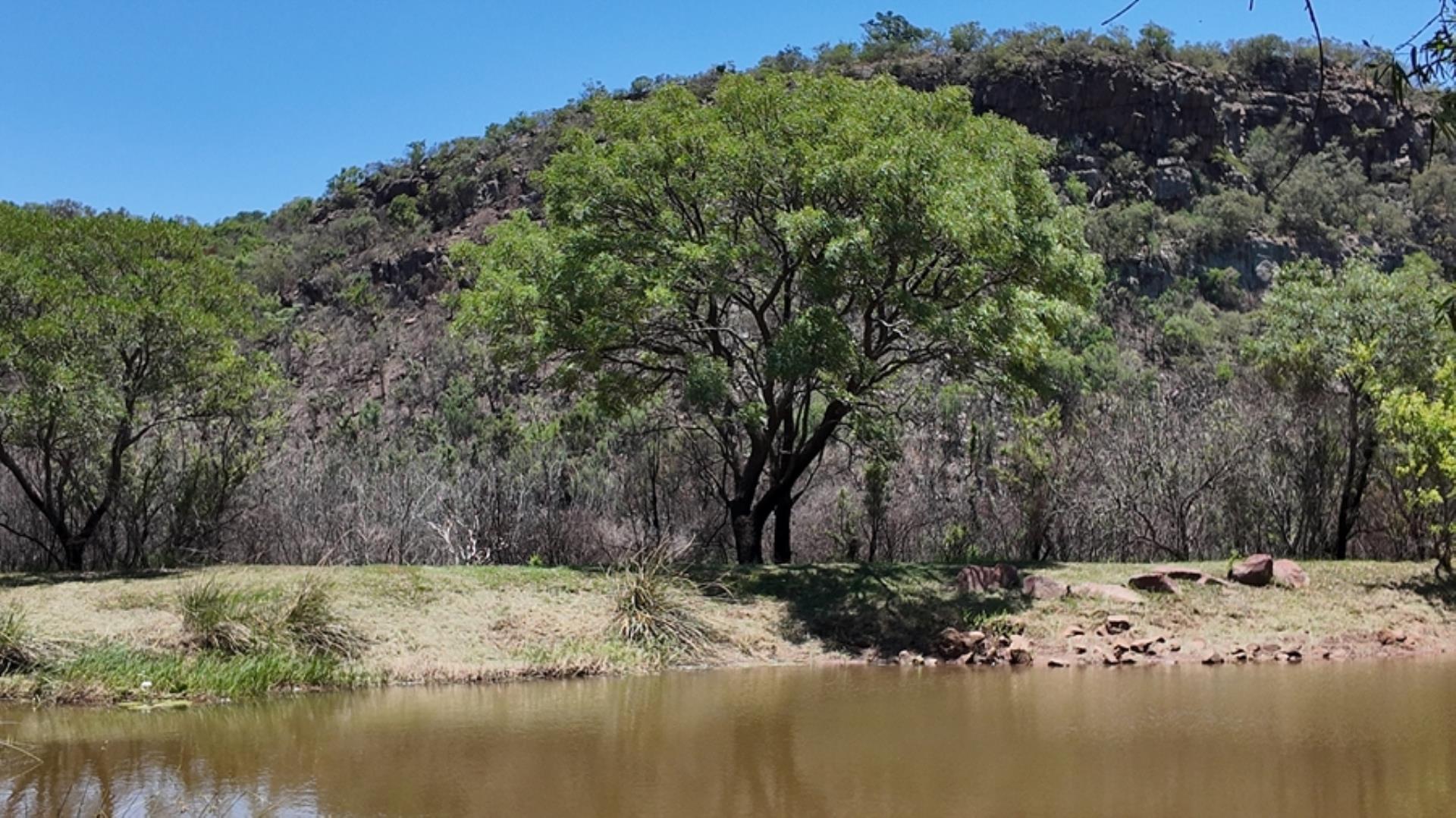 730851_1.56ha_Stand_Leopard_Rock_Game_Farm_FOR_SALE_(23).jpeg