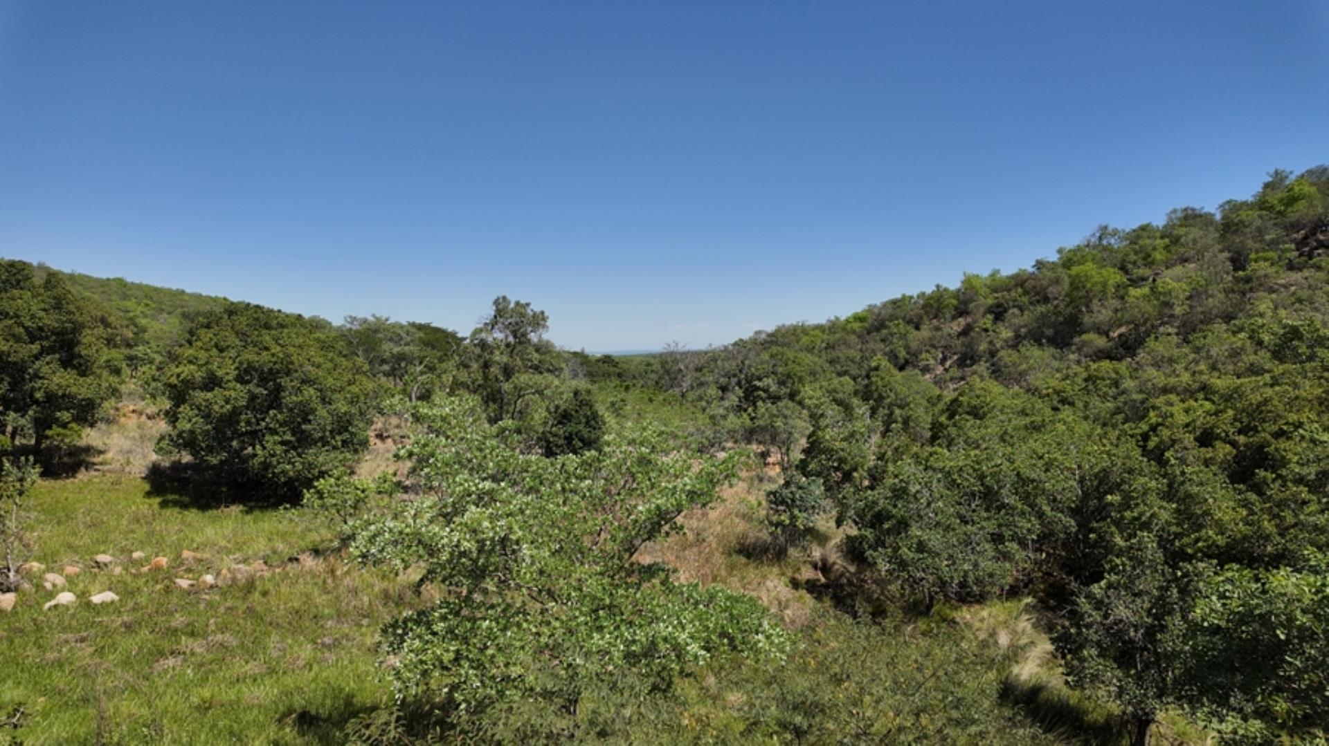 730854_House_FOR_SALE_in_Game_Reserve_Vaalwater_(10).jpeg
