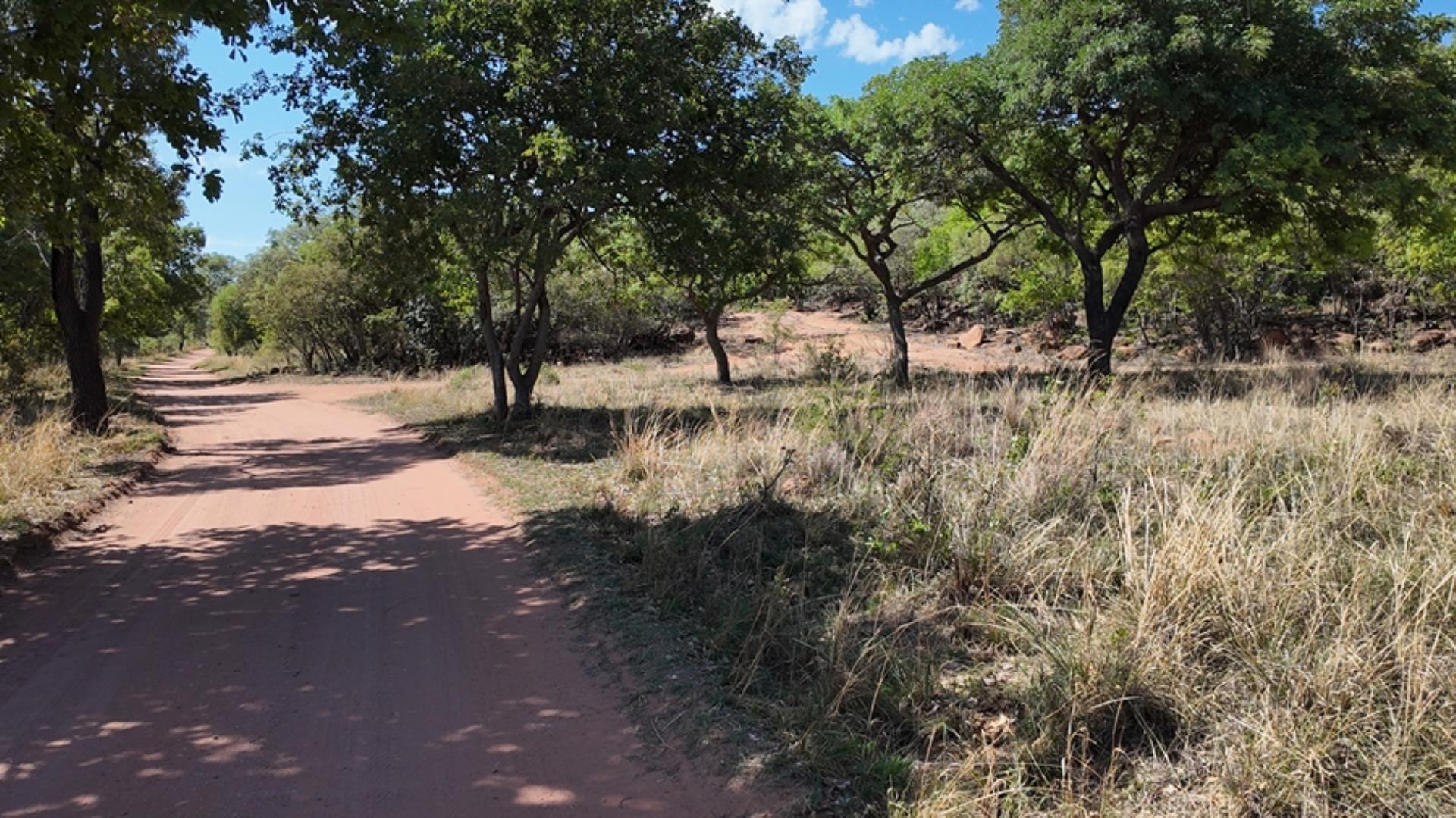 730854_House_FOR_SALE_in_Game_Reserve_Vaalwater_(5).jpeg