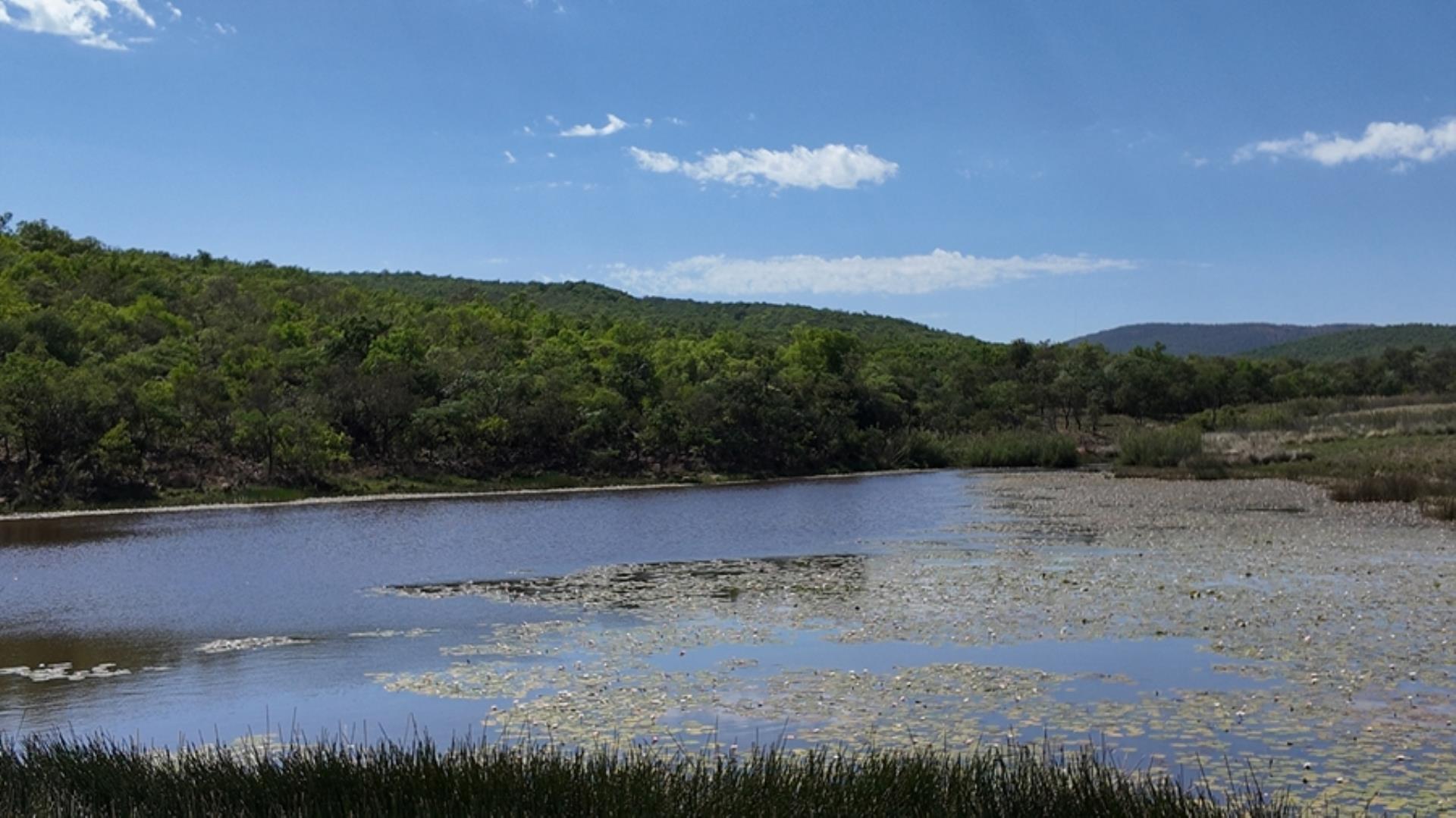 730854_House_FOR_SALE_in_Game_Reserve_Vaalwater_(8).jpeg