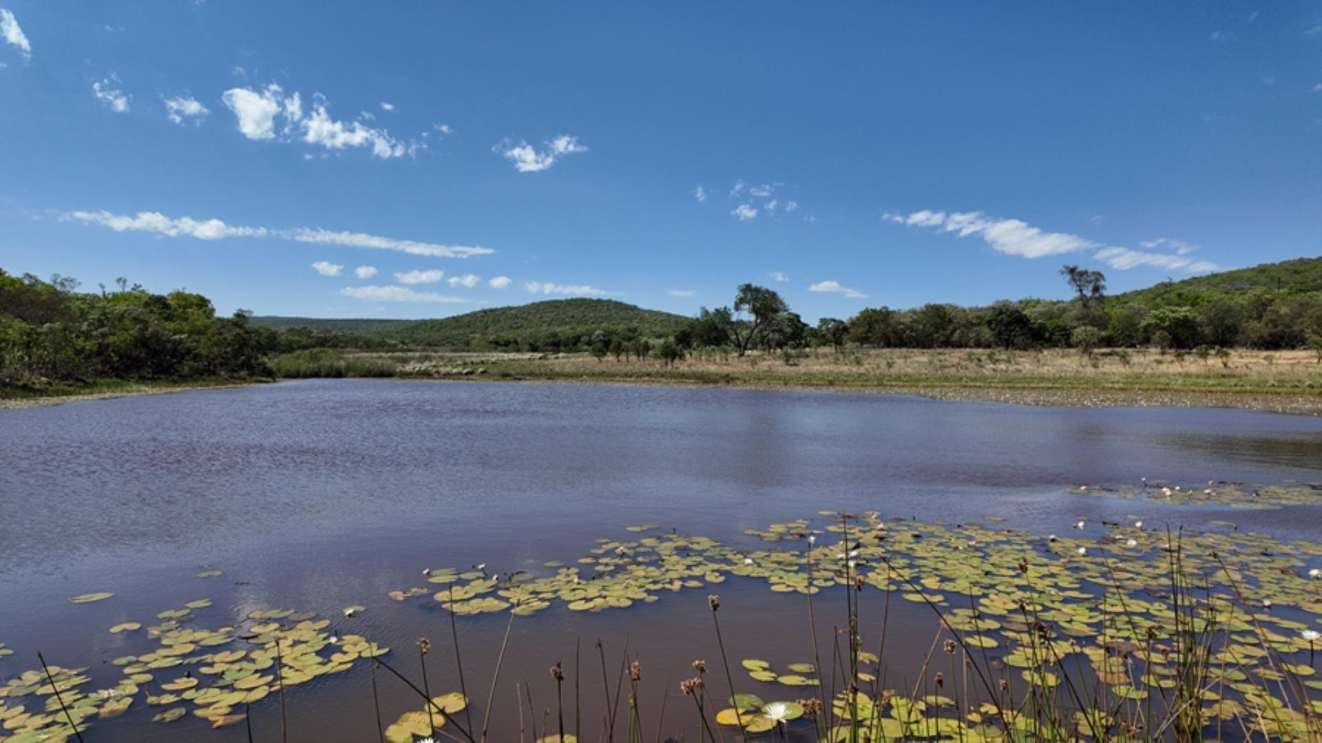 730854_House_FOR_SALE_in_Game_Reserve_Vaalwater_(9).jpeg