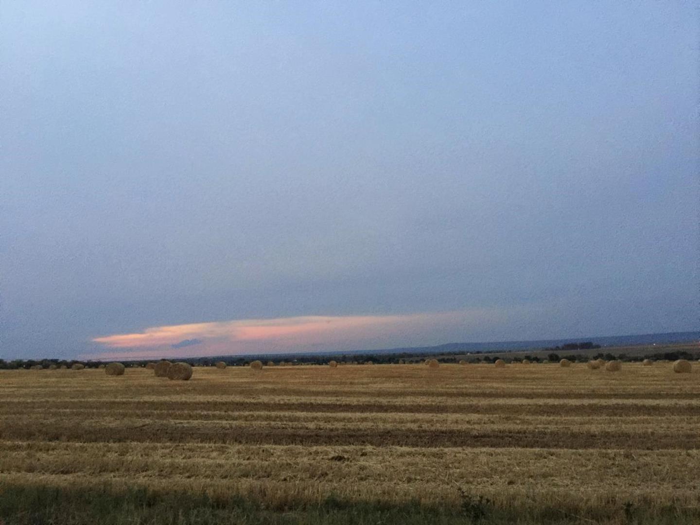 731183_Bales.jpg