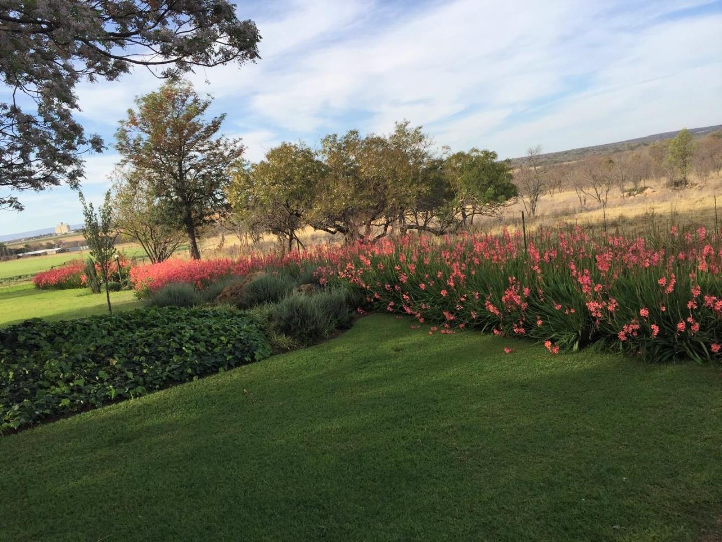 731183_Garden_1.jpg