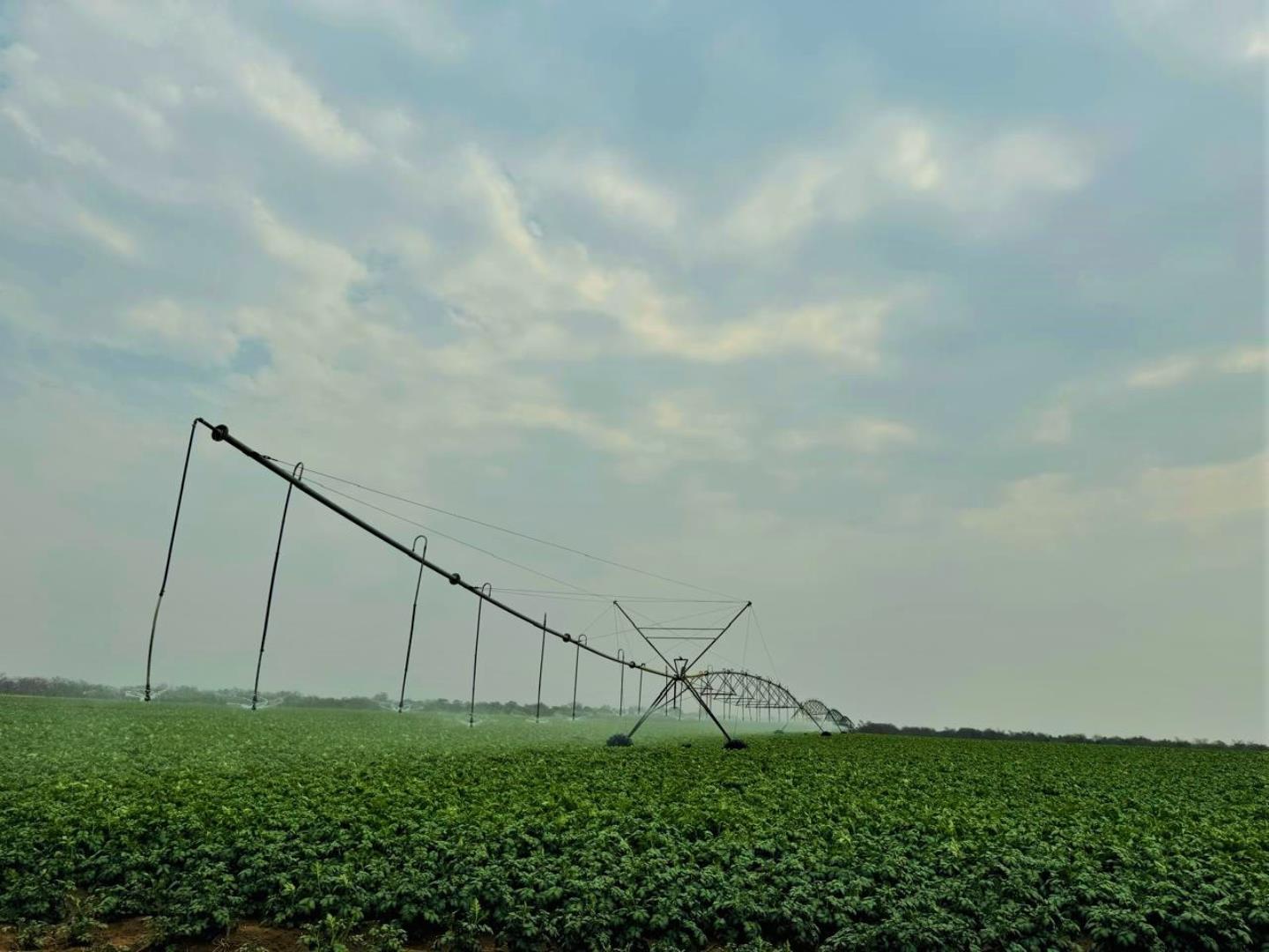 731183_Irrigating_Patatoes.jpg