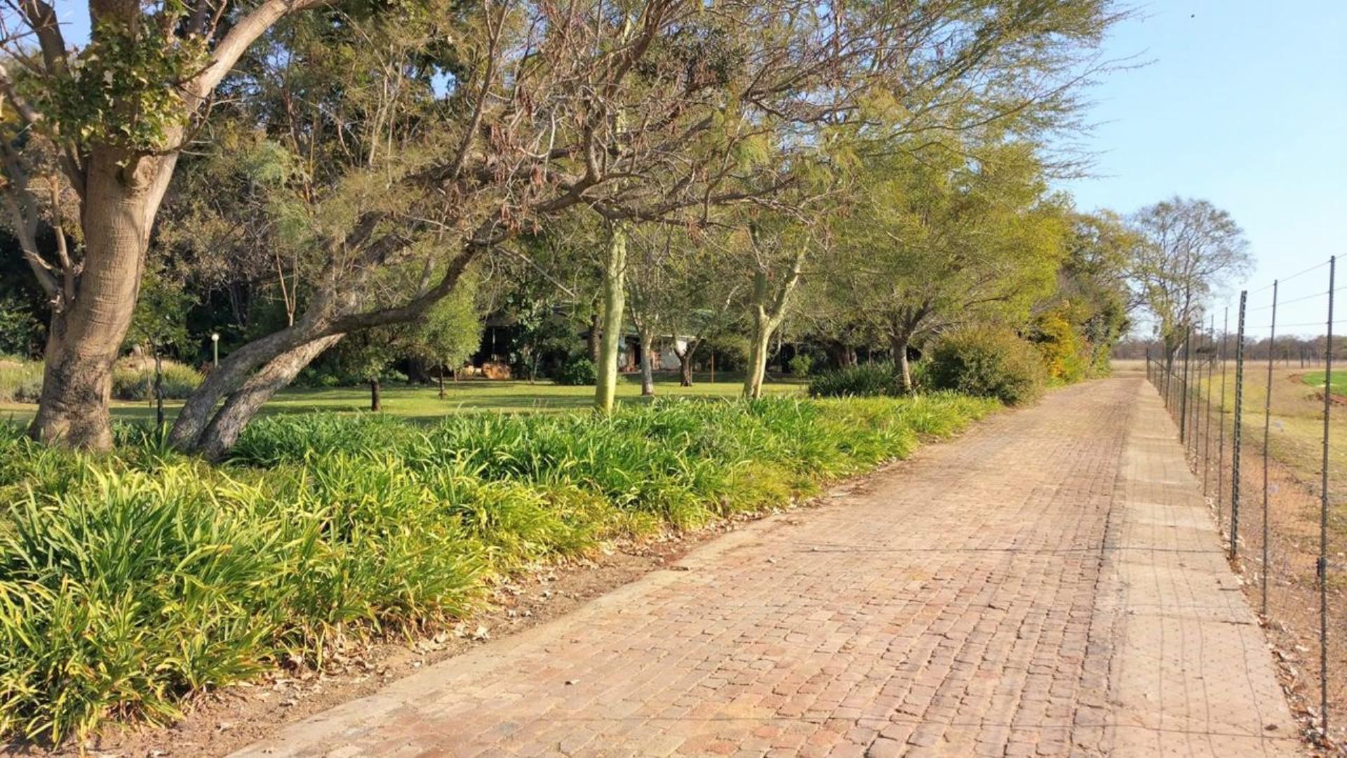731183_Paving_to_Main_house.jpg
