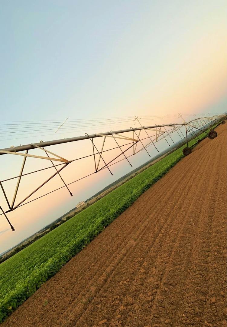 731183_Pivot_Sunset.jpg