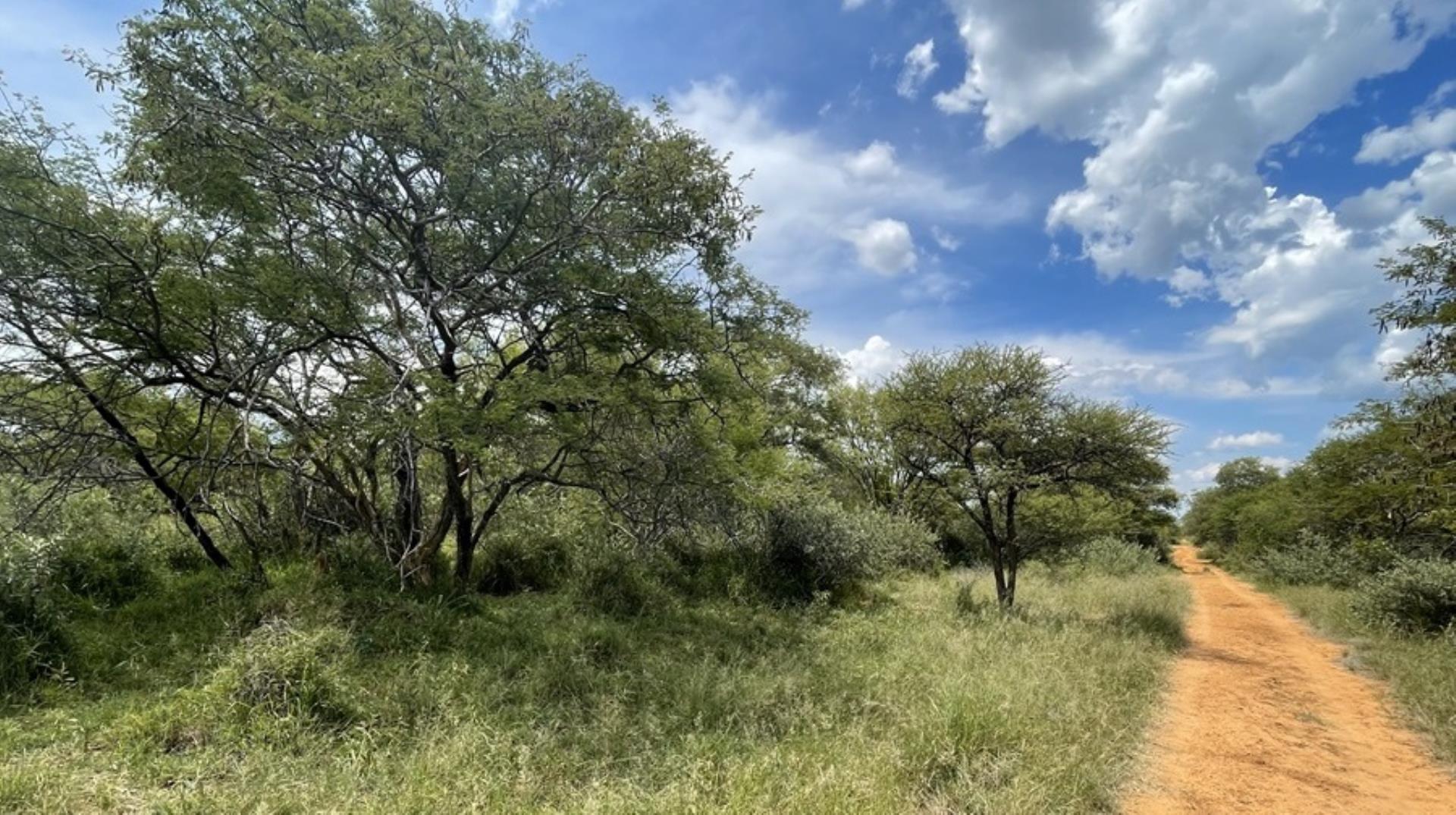 731630_671ha_True_Bushveld_Game_Farm_FOR_SALE_Vaalwater_Ellisras_Area__(79).jpeg