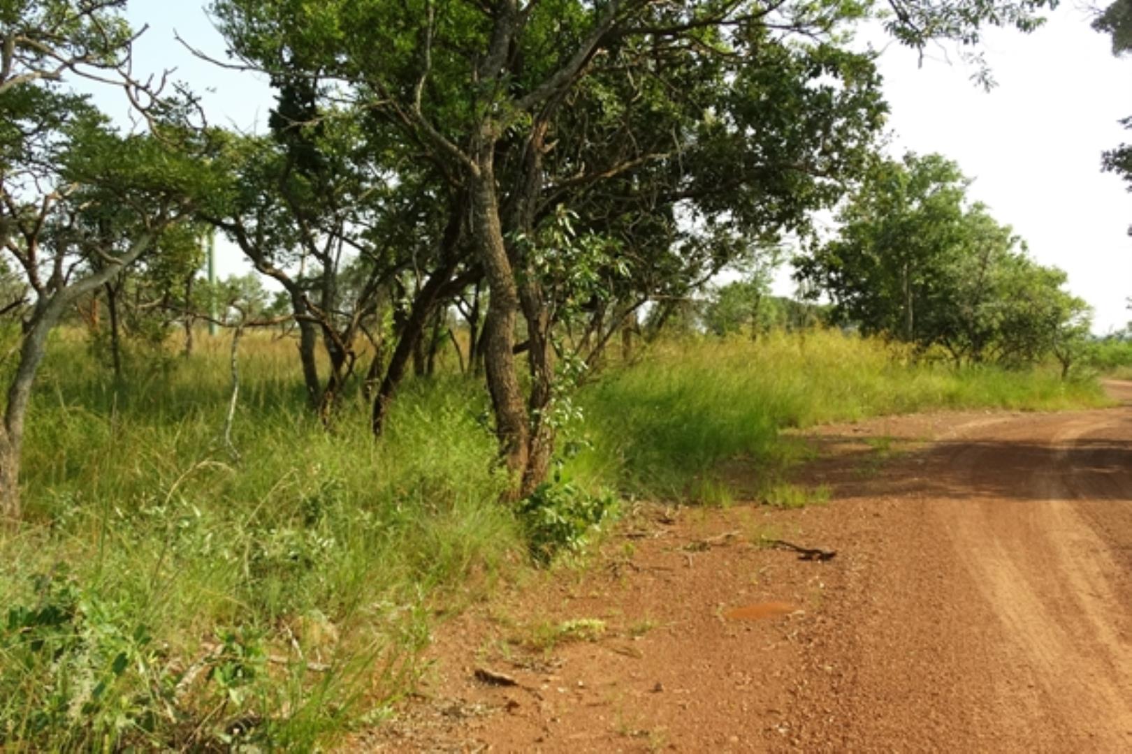 732378_1419ha_Feedlot___Irrigation_and_Game_Combination_Farm_for_Sale_Naboomspruit_(1).jpg