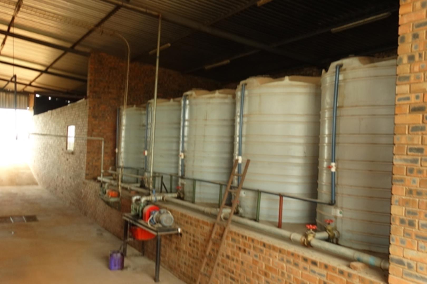 732378_1419ha_Feedlot___Irrigation_and_Game_Combination_Farm_for_Sale_Naboomspruit_(100).jpg