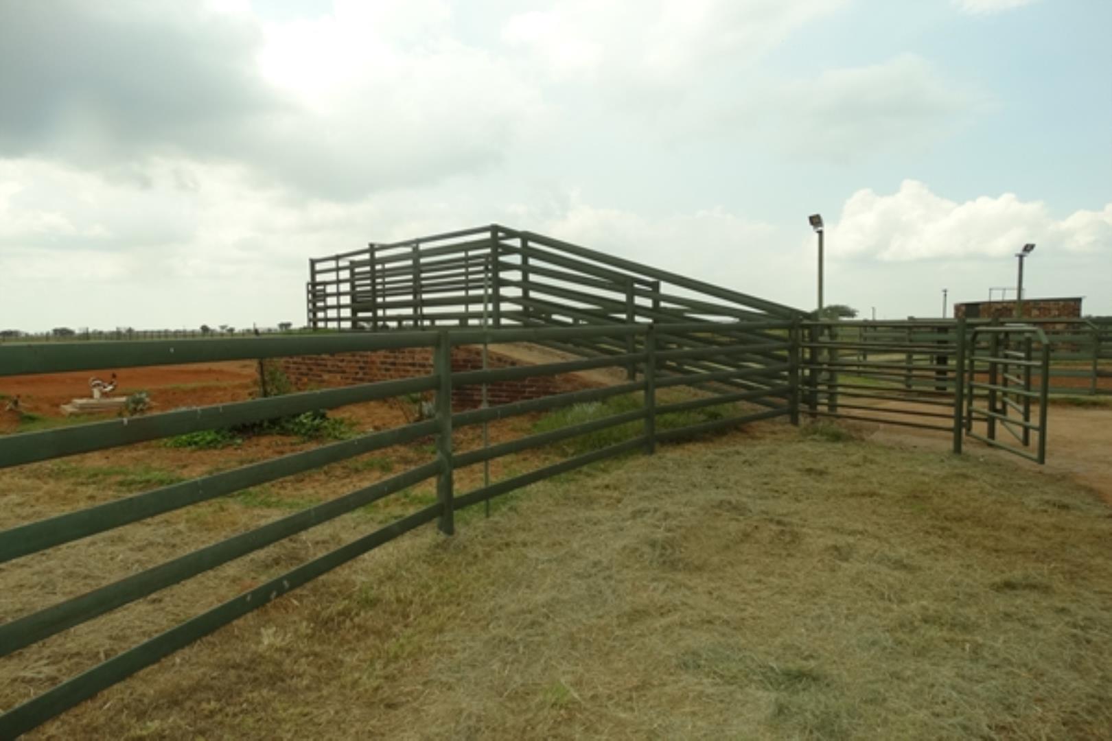 732378_1419ha_Feedlot___Irrigation_and_Game_Combination_Farm_for_Sale_Naboomspruit_(106).jpg