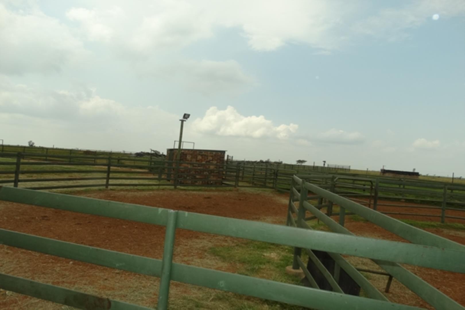732378_1419ha_Feedlot___Irrigation_and_Game_Combination_Farm_for_Sale_Naboomspruit_(107).jpg