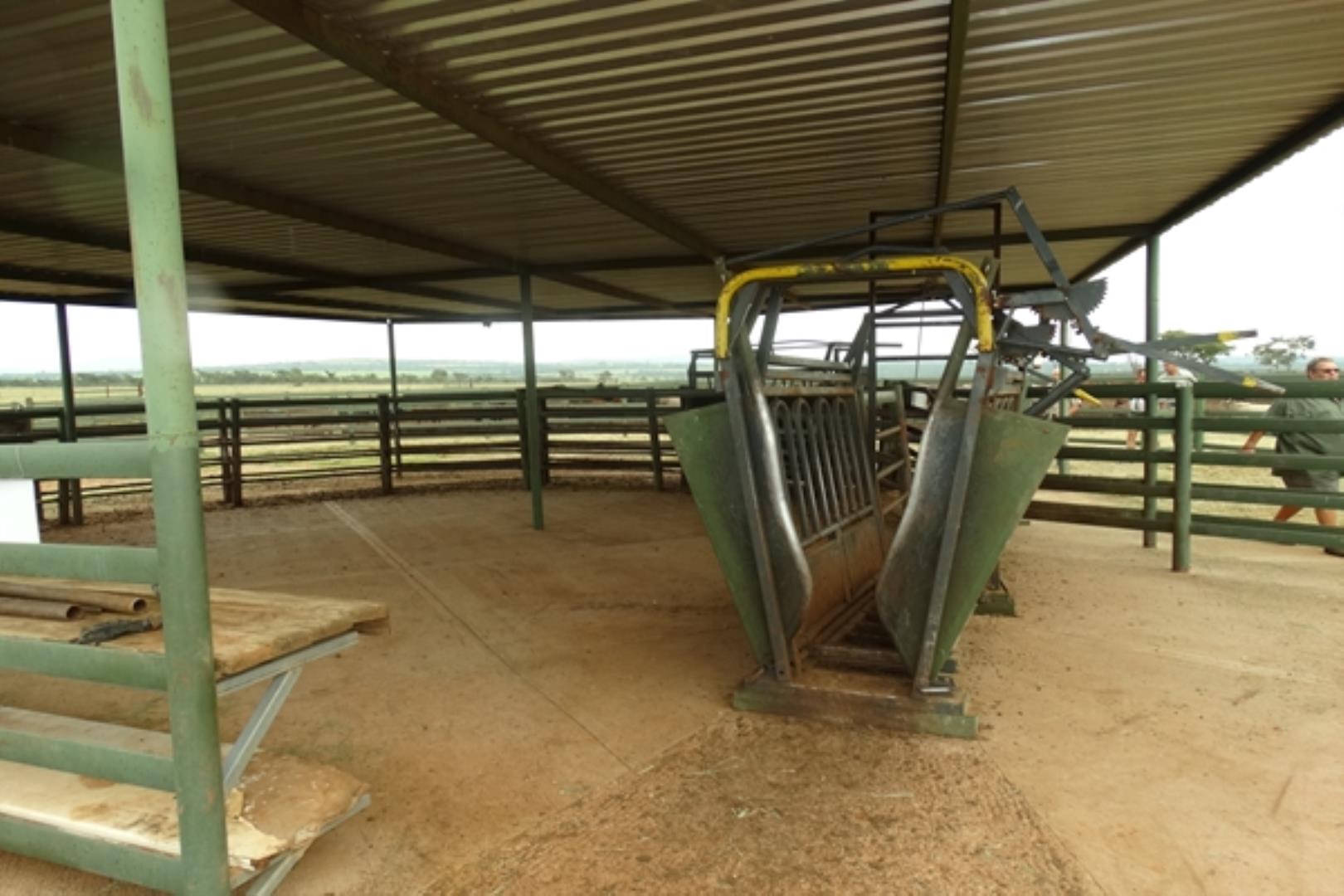 732378_1419ha_Feedlot___Irrigation_and_Game_Combination_Farm_for_Sale_Naboomspruit_(109).jpg