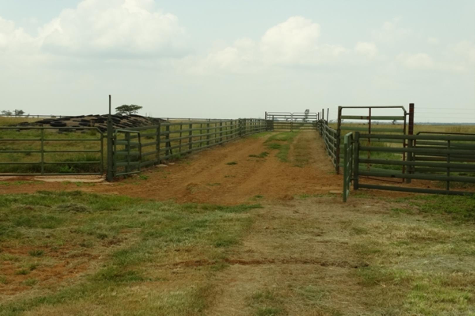 732378_1419ha_Feedlot___Irrigation_and_Game_Combination_Farm_for_Sale_Naboomspruit_(111).jpg