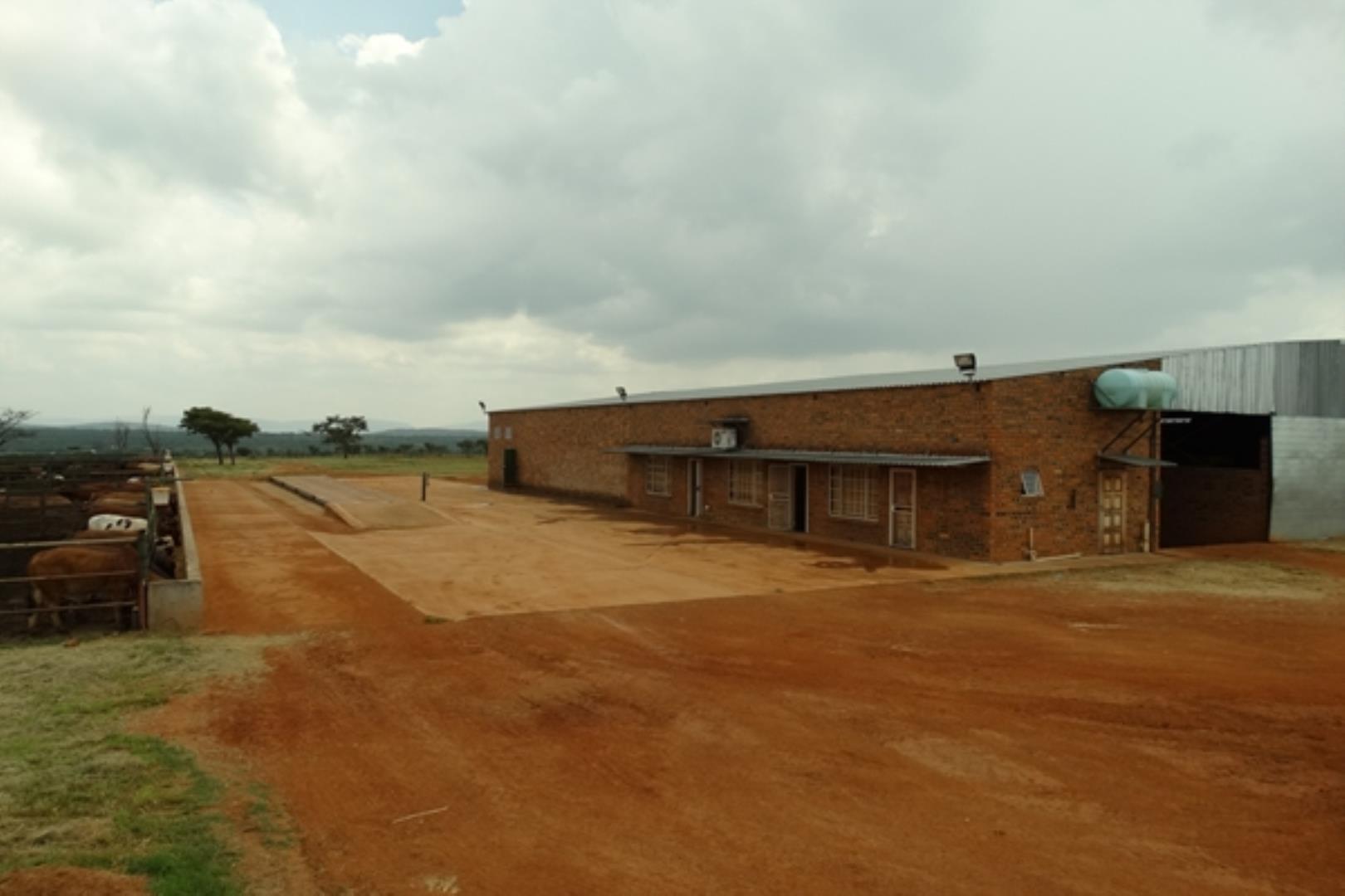 732378_1419ha_Feedlot___Irrigation_and_Game_Combination_Farm_for_Sale_Naboomspruit_(114).jpg