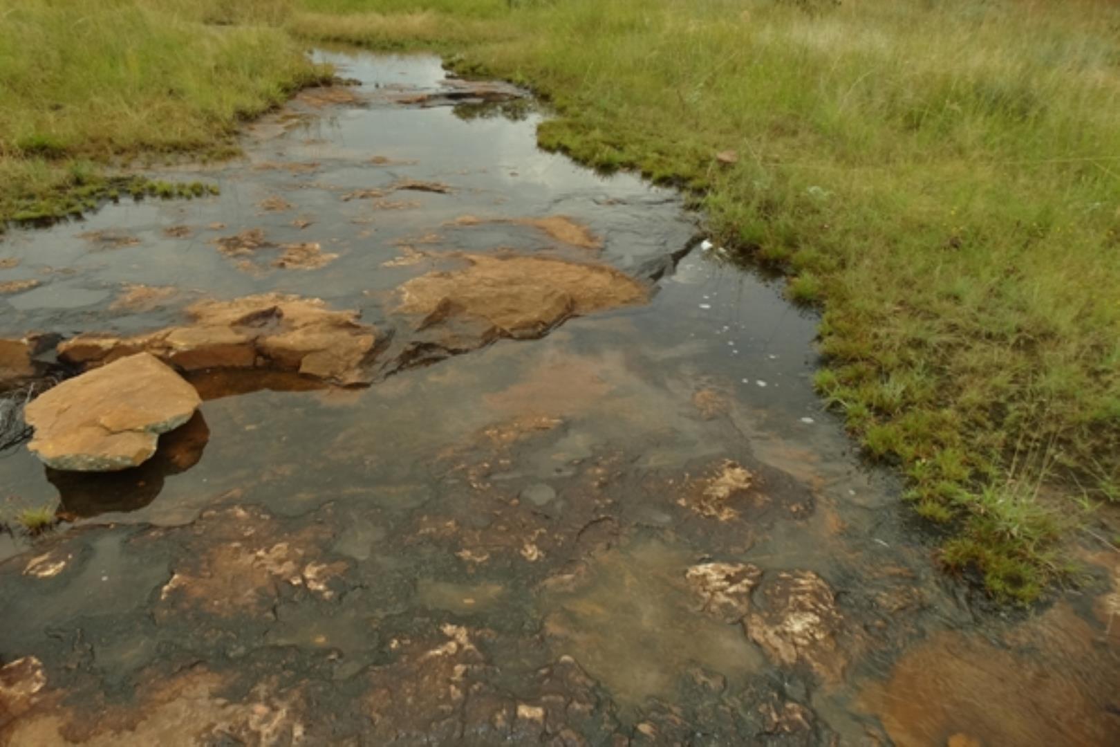 732378_1419ha_Feedlot___Irrigation_and_Game_Combination_Farm_for_Sale_Naboomspruit_(132).jpg
