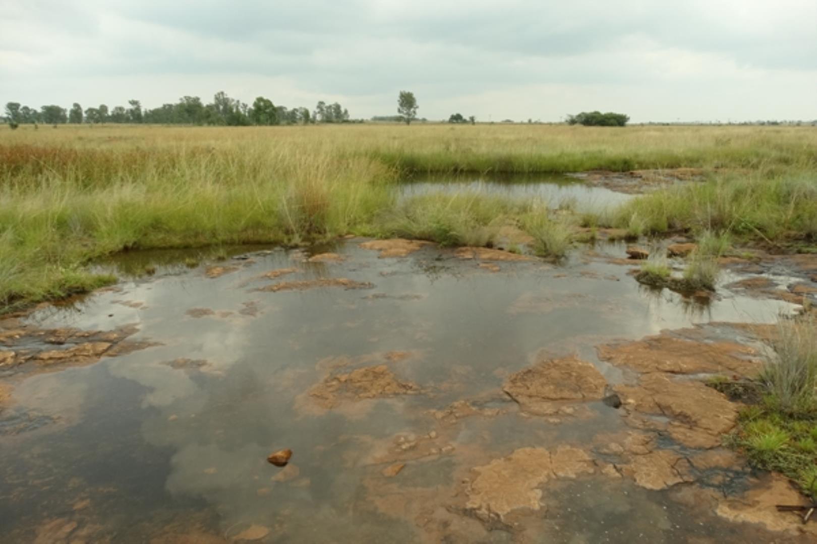 732378_1419ha_Feedlot___Irrigation_and_Game_Combination_Farm_for_Sale_Naboomspruit_(133).jpg
