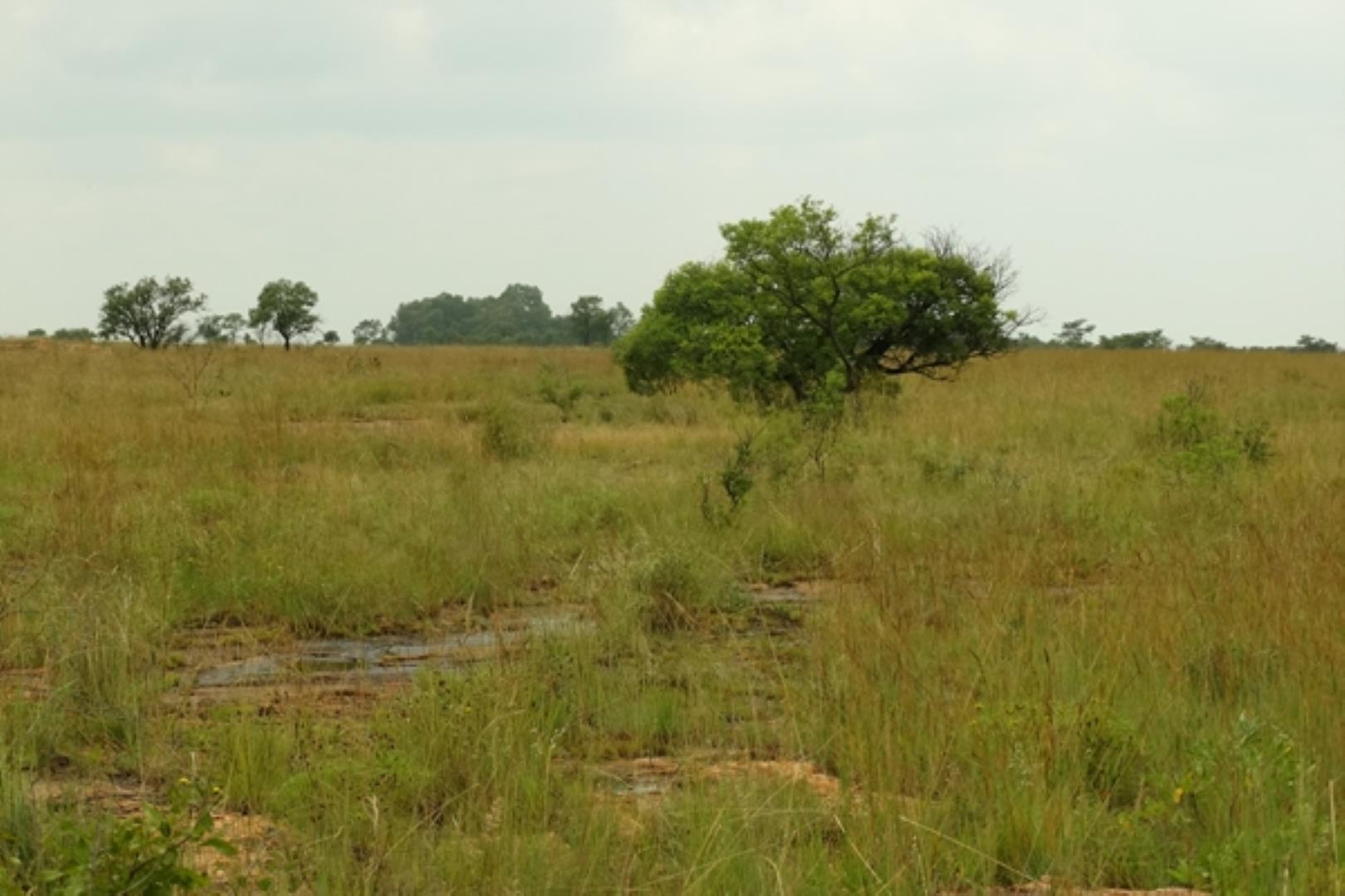 732378_1419ha_Feedlot___Irrigation_and_Game_Combination_Farm_for_Sale_Naboomspruit_(135).jpg