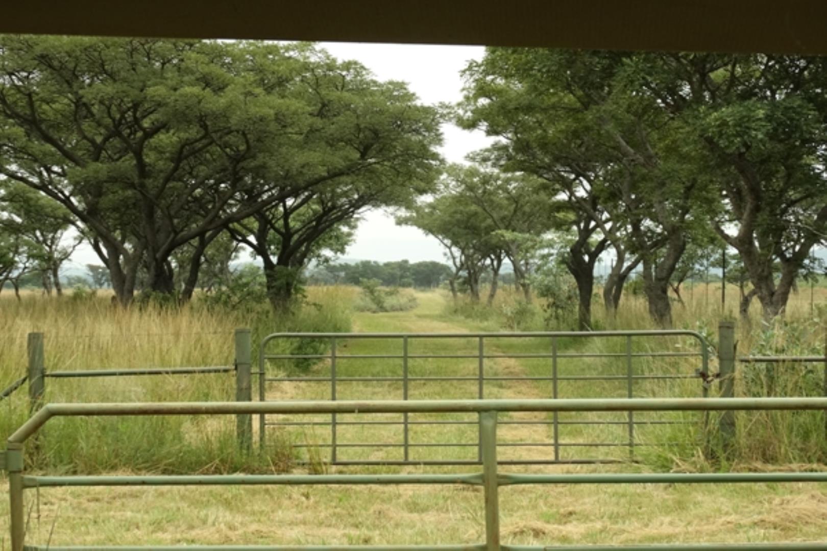 732378_1419ha_Feedlot___Irrigation_and_Game_Combination_Farm_for_Sale_Naboomspruit_(143).jpg